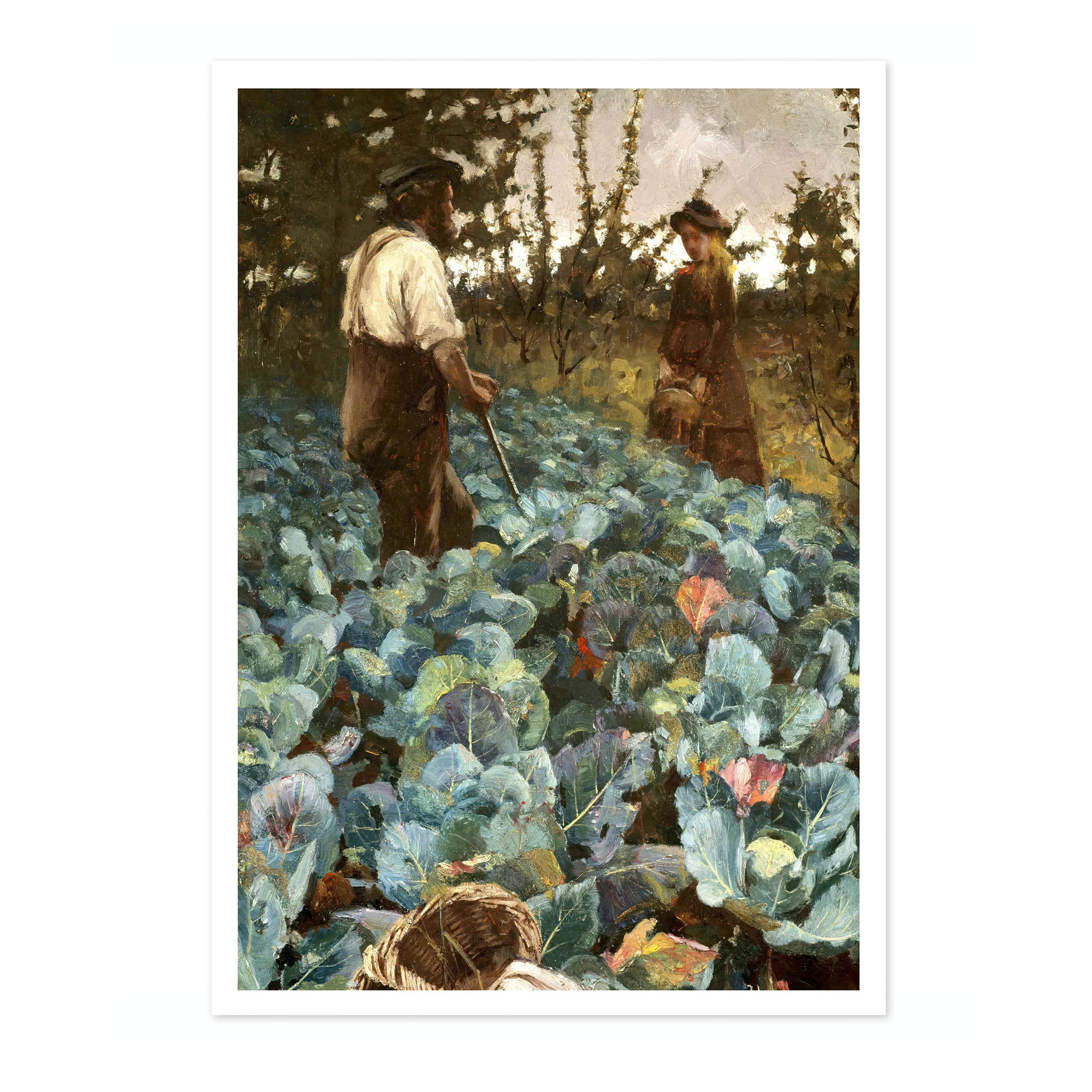 A Cabbage Garden - Image 4