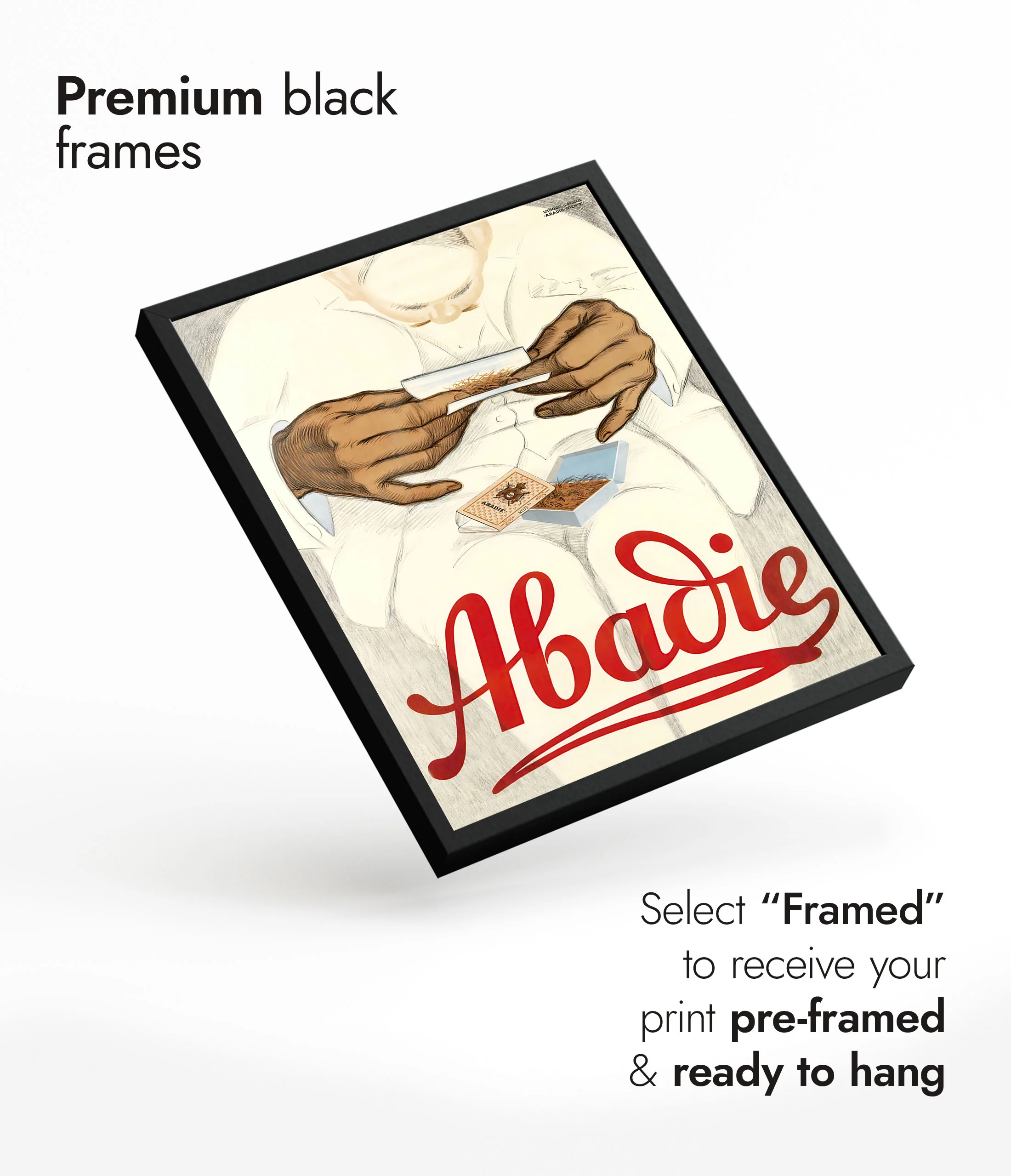 Abadie Tobacco - Image 7