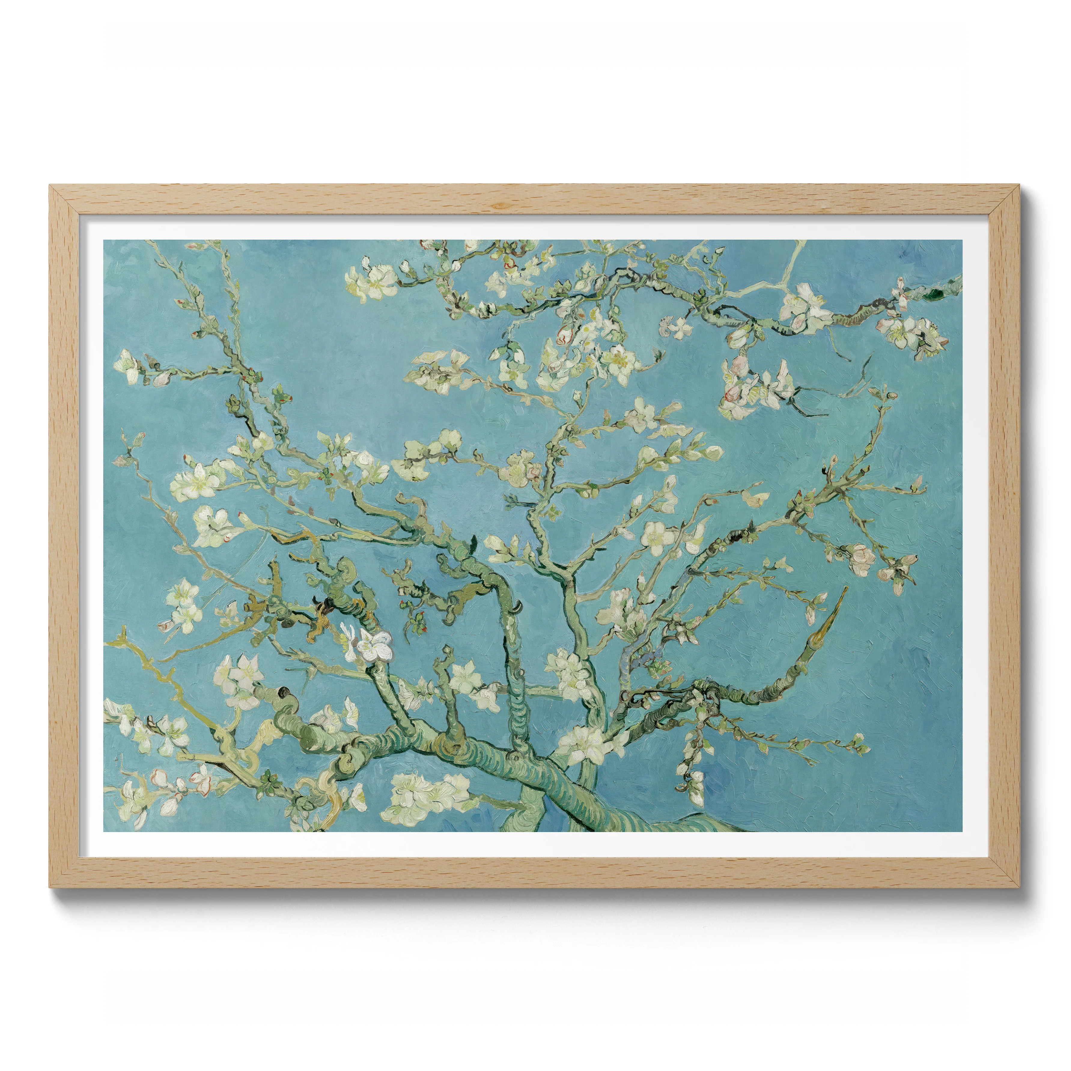 Almond Blossom - Image 3