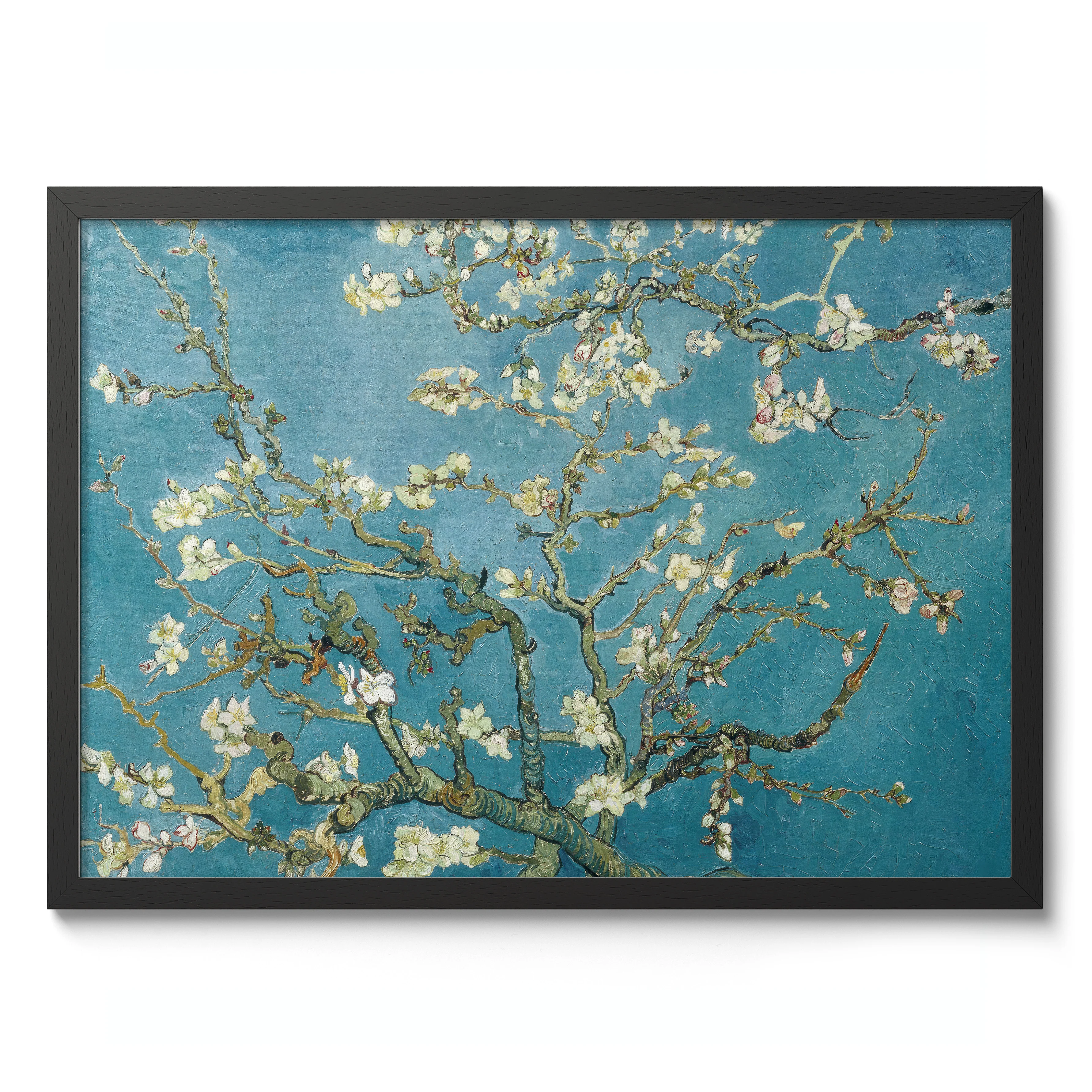 Almond Blossom - Image 2