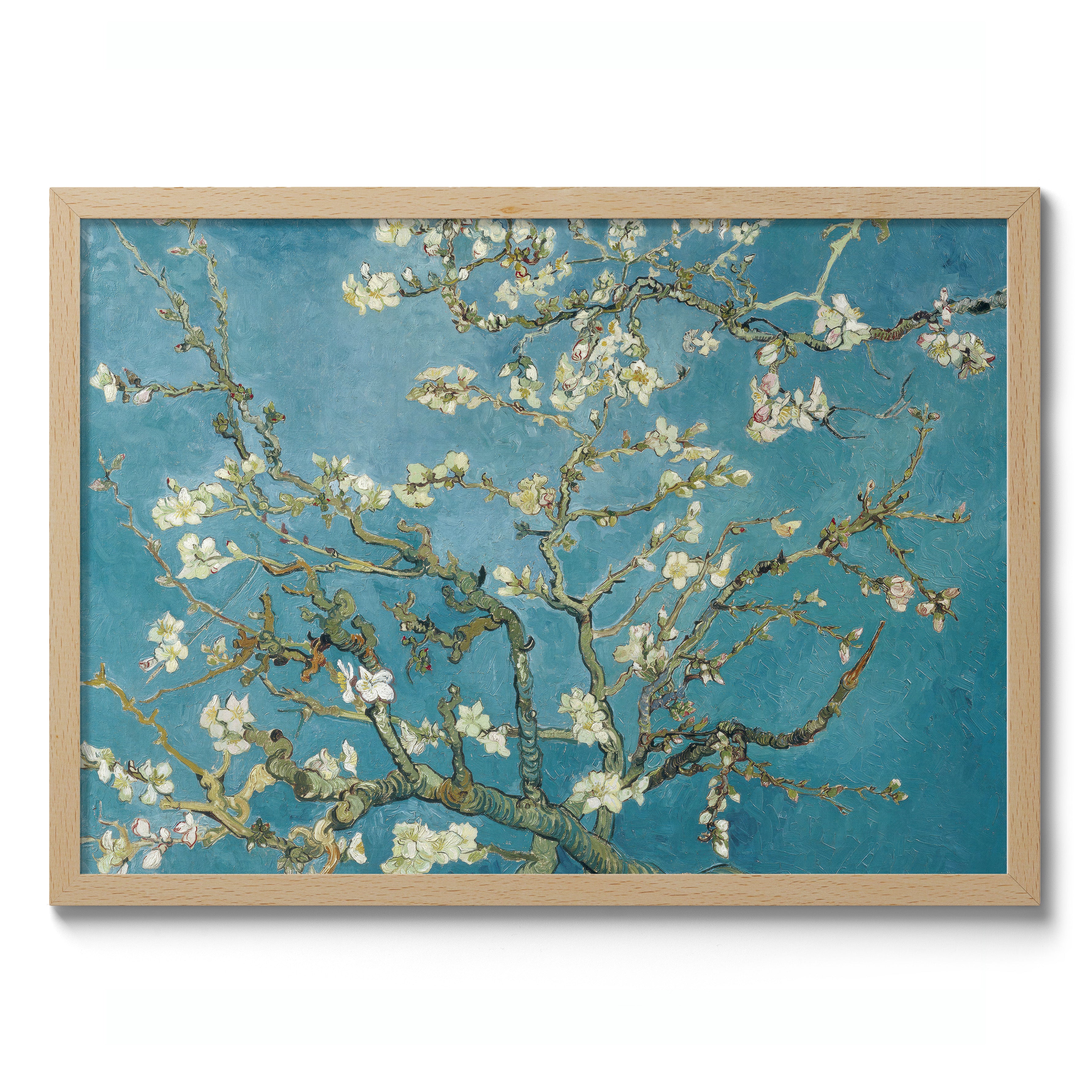 Almond Blossom - Image 3