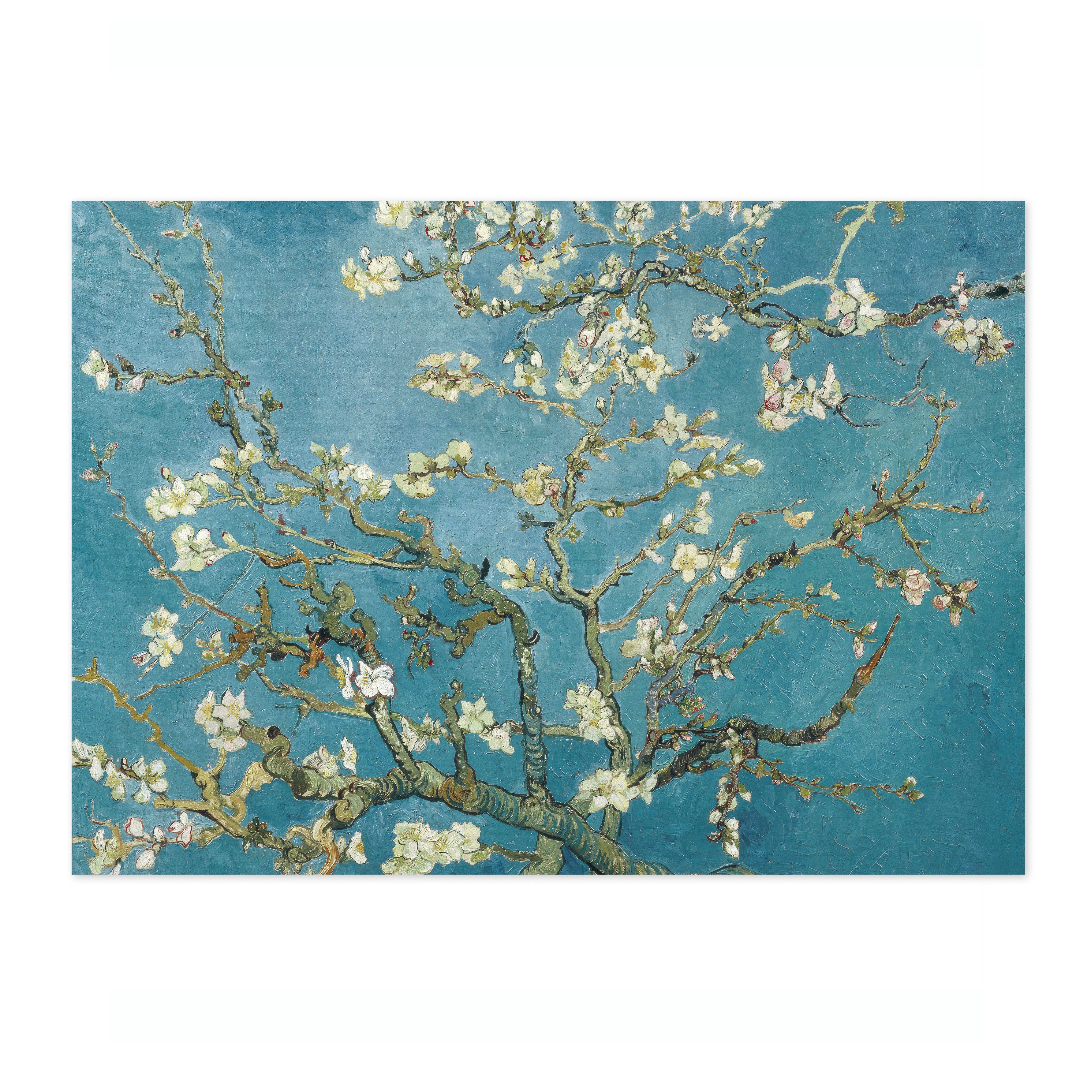 Almond Blossom - Image 4