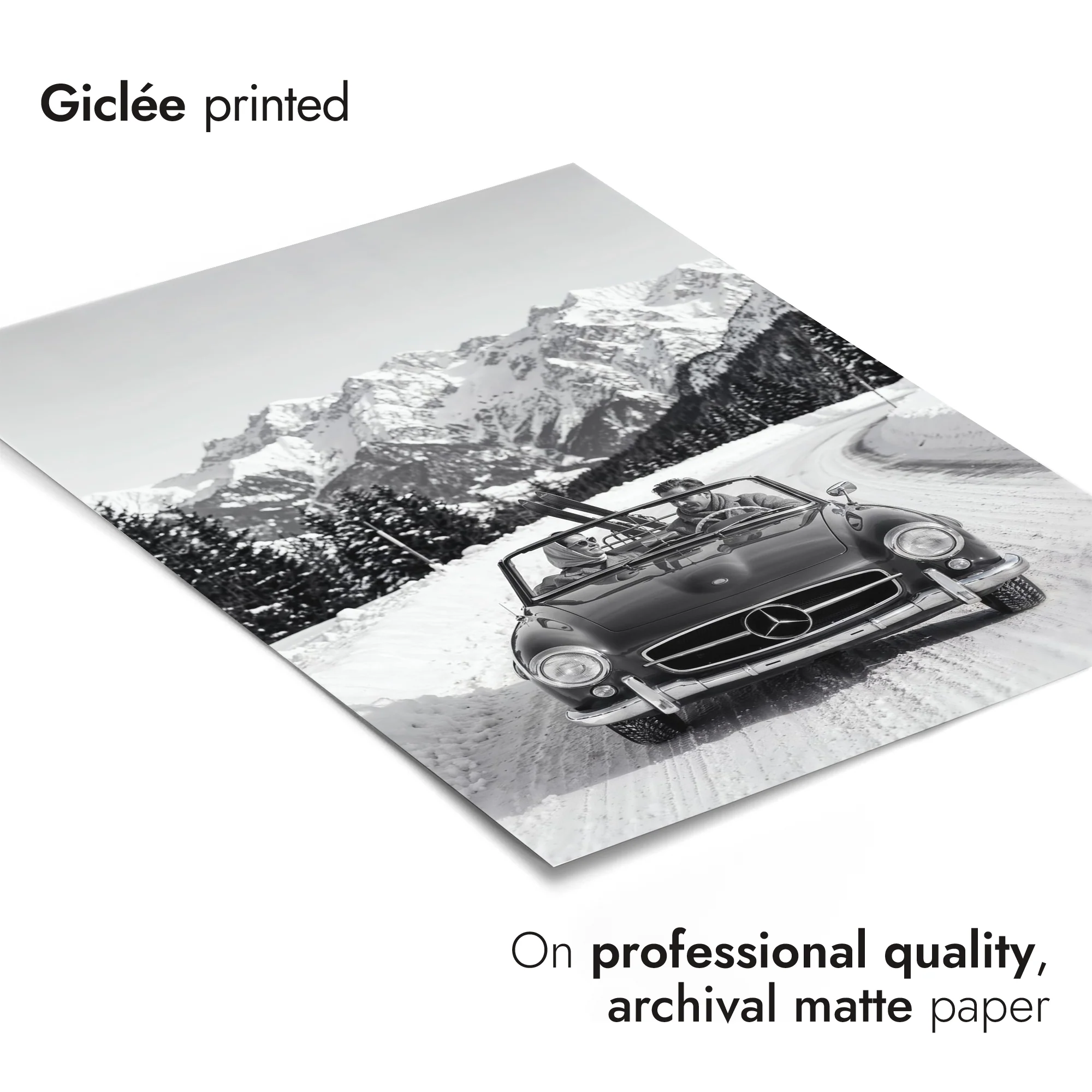 Alpine Roadster - Image 6