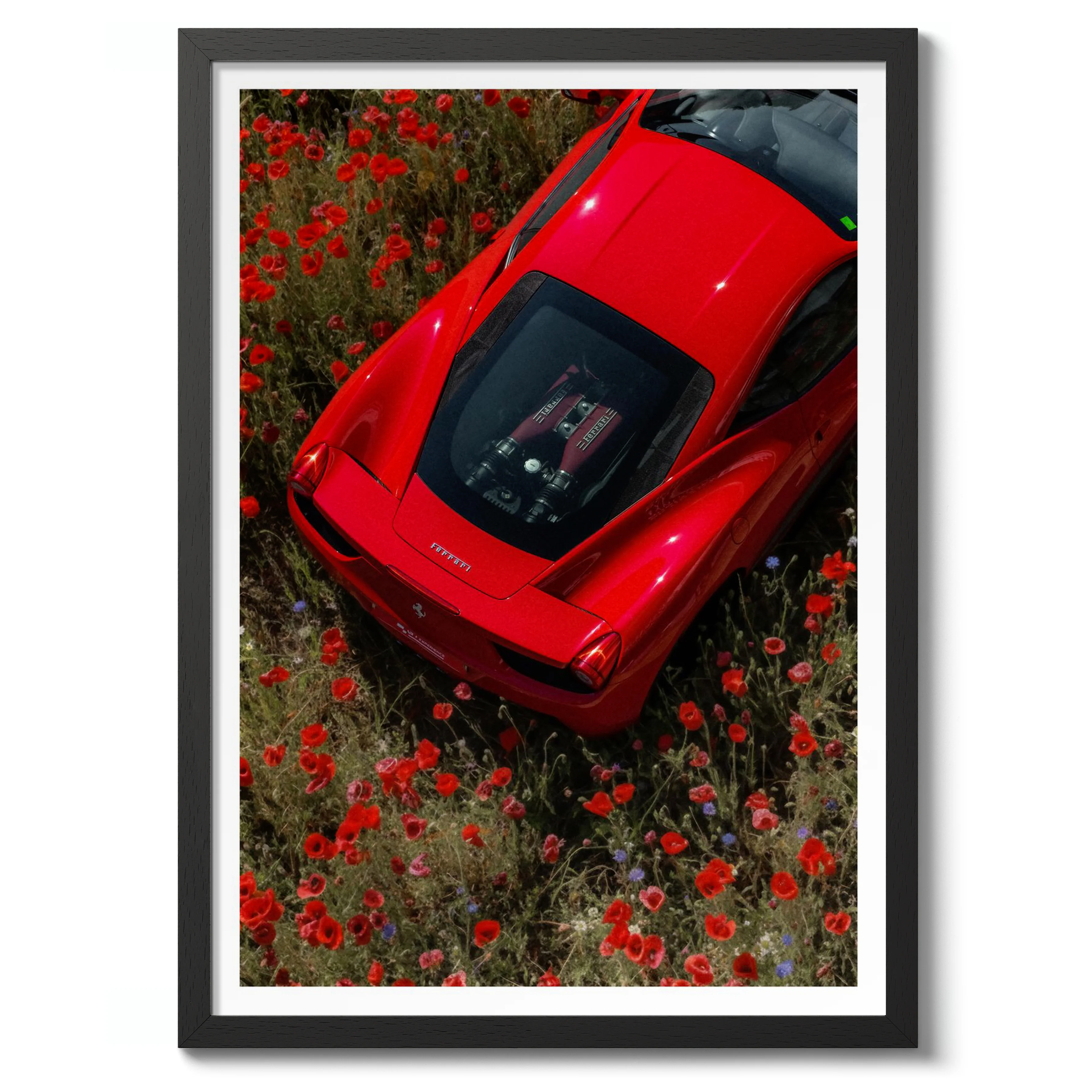 Amidst the Poppies - Image 2