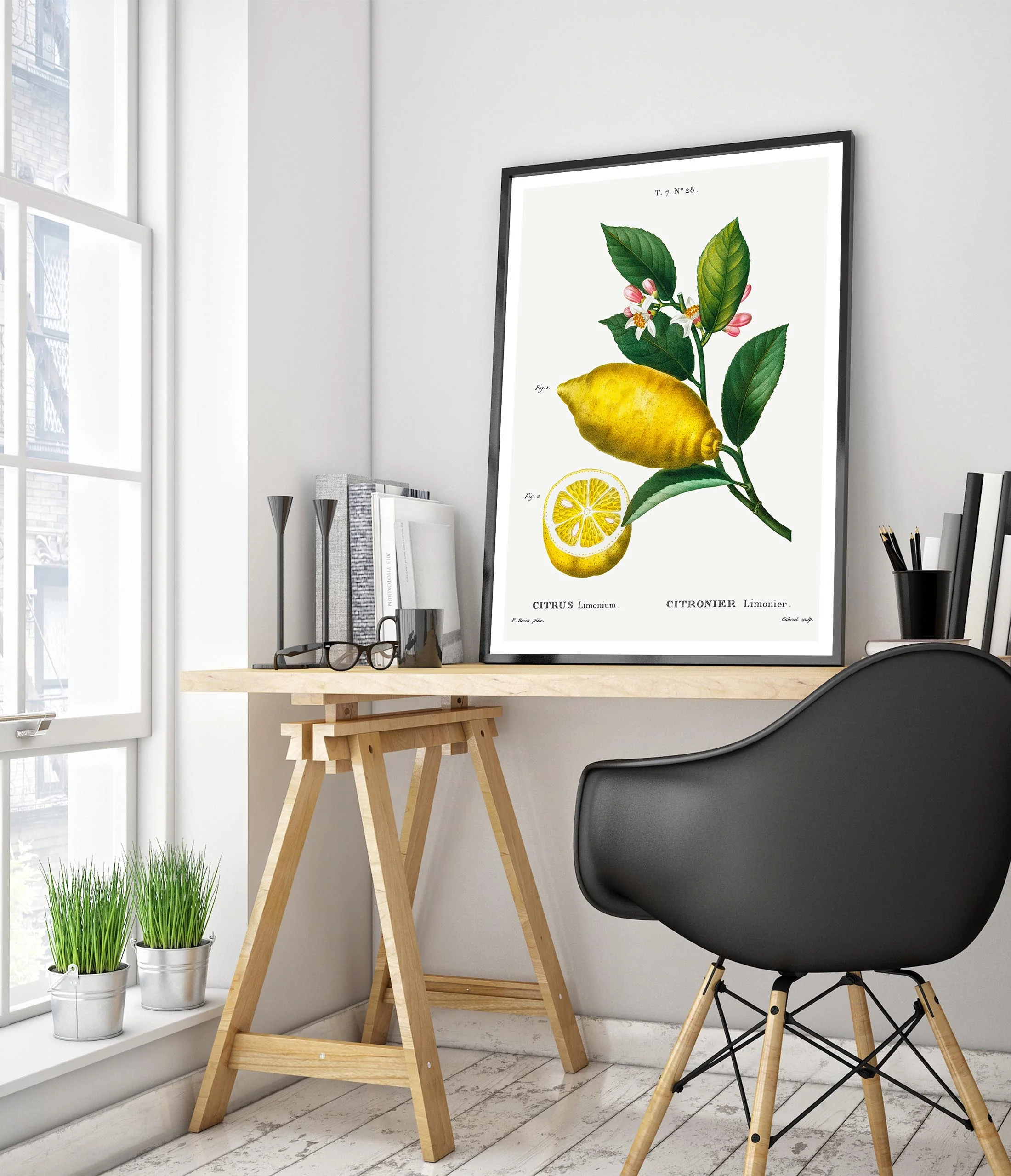 An Enlarged Lemon - Image 5