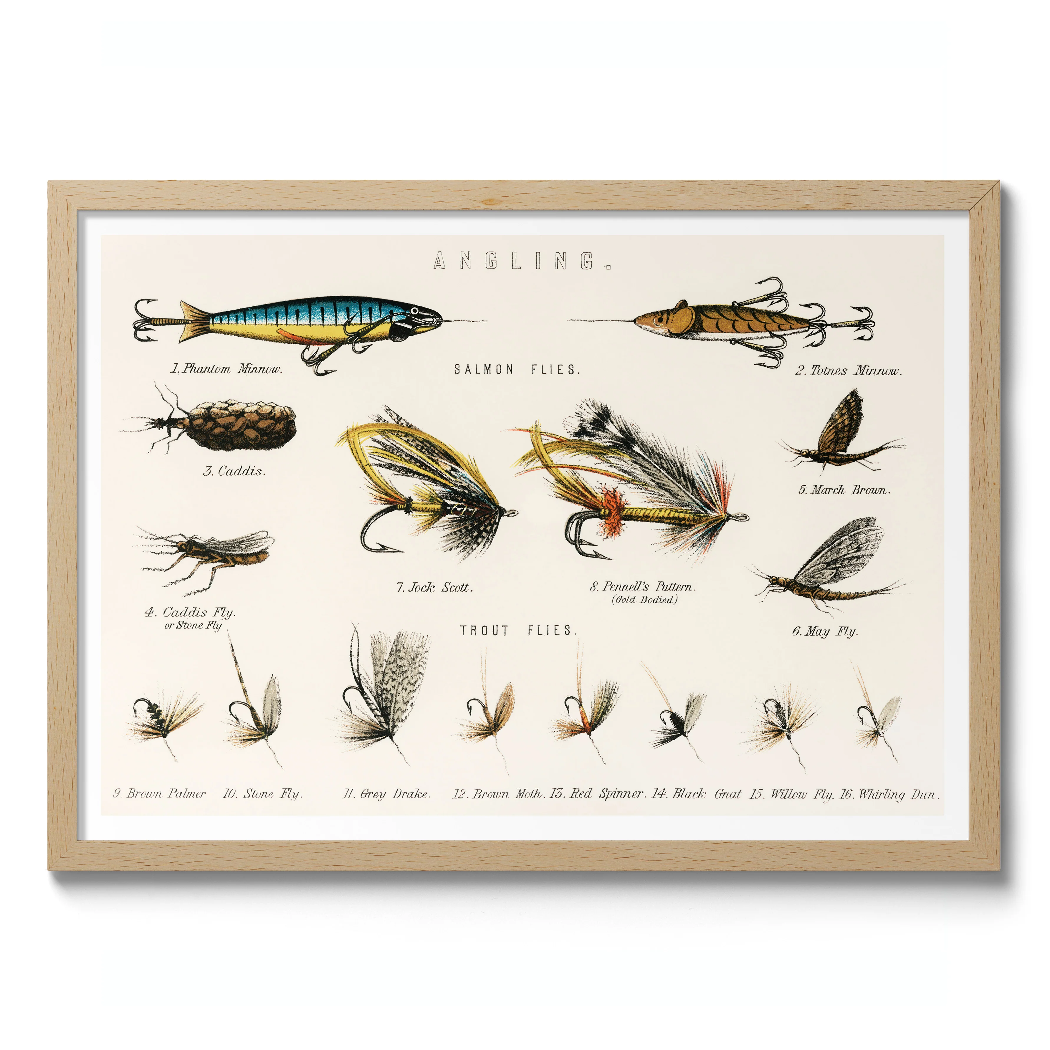 Angling Baits - Image 3