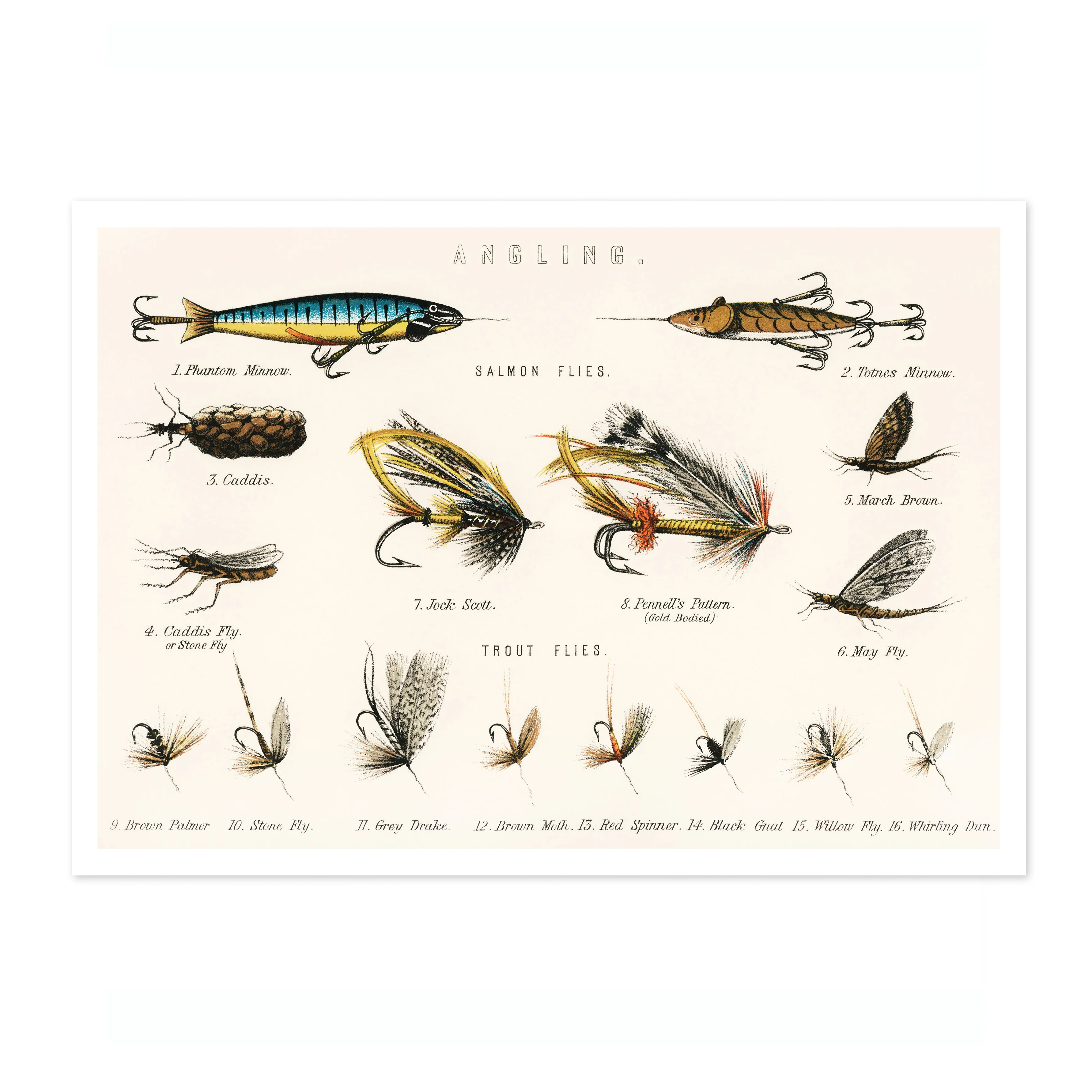 Angling Baits - Image 4