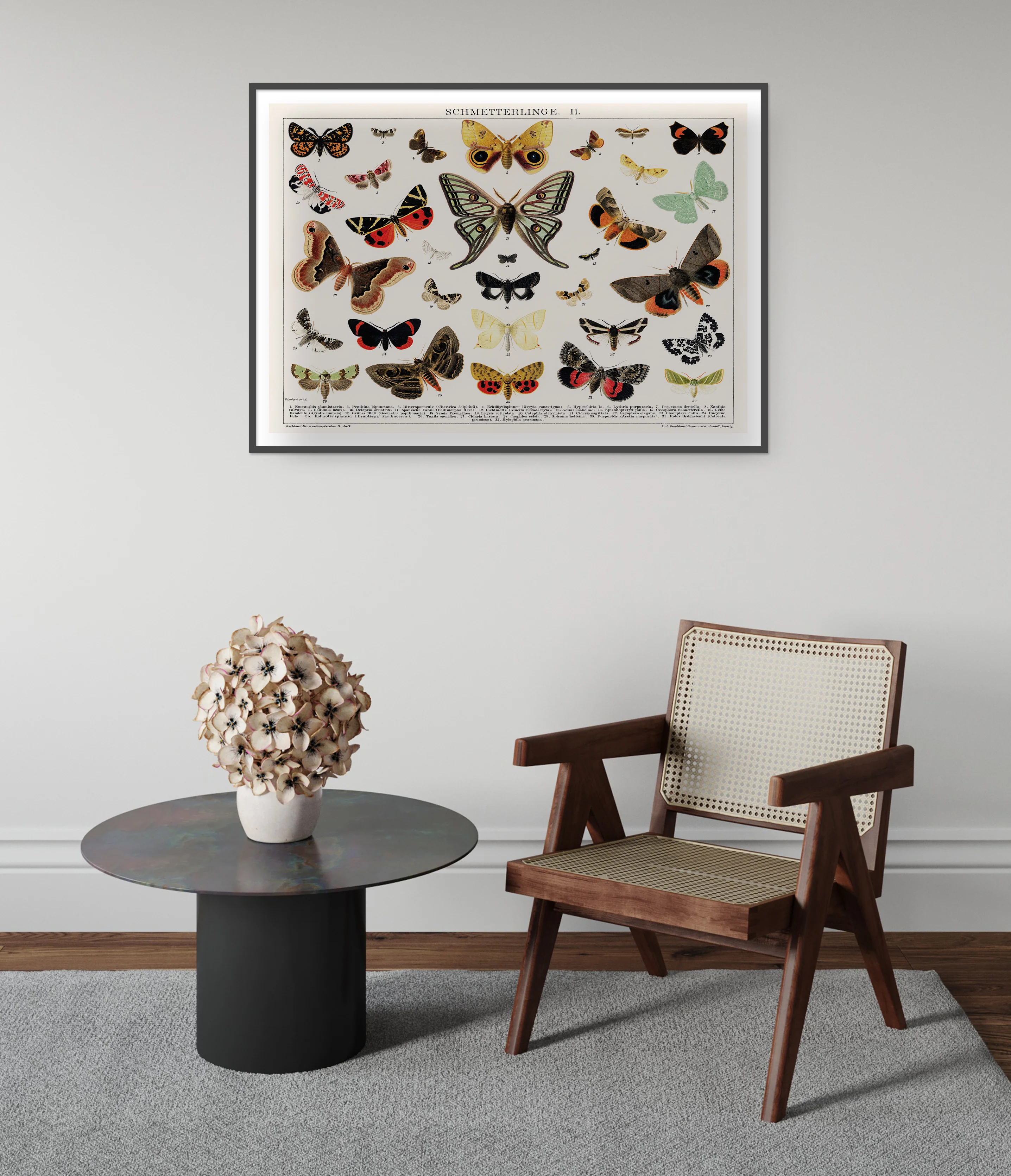 Antique Butterfly and Moth Lithograph - Image 5