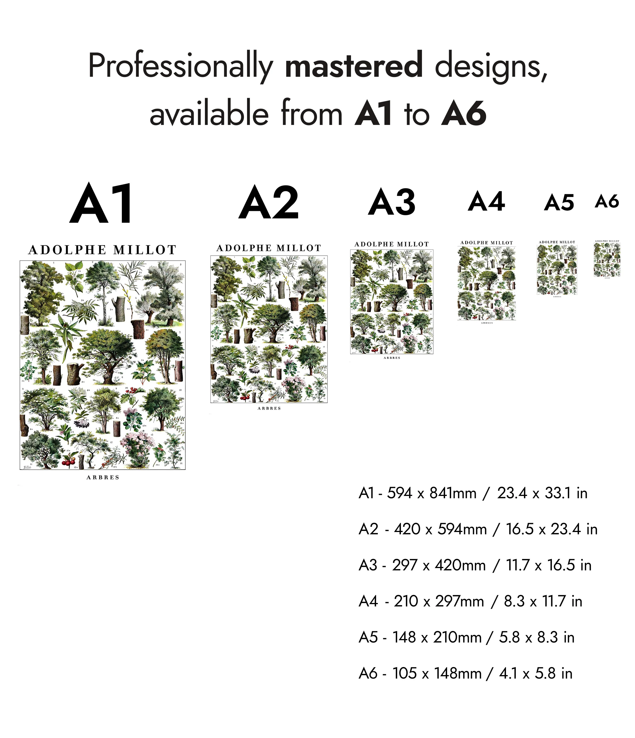 Arbres - Image 8