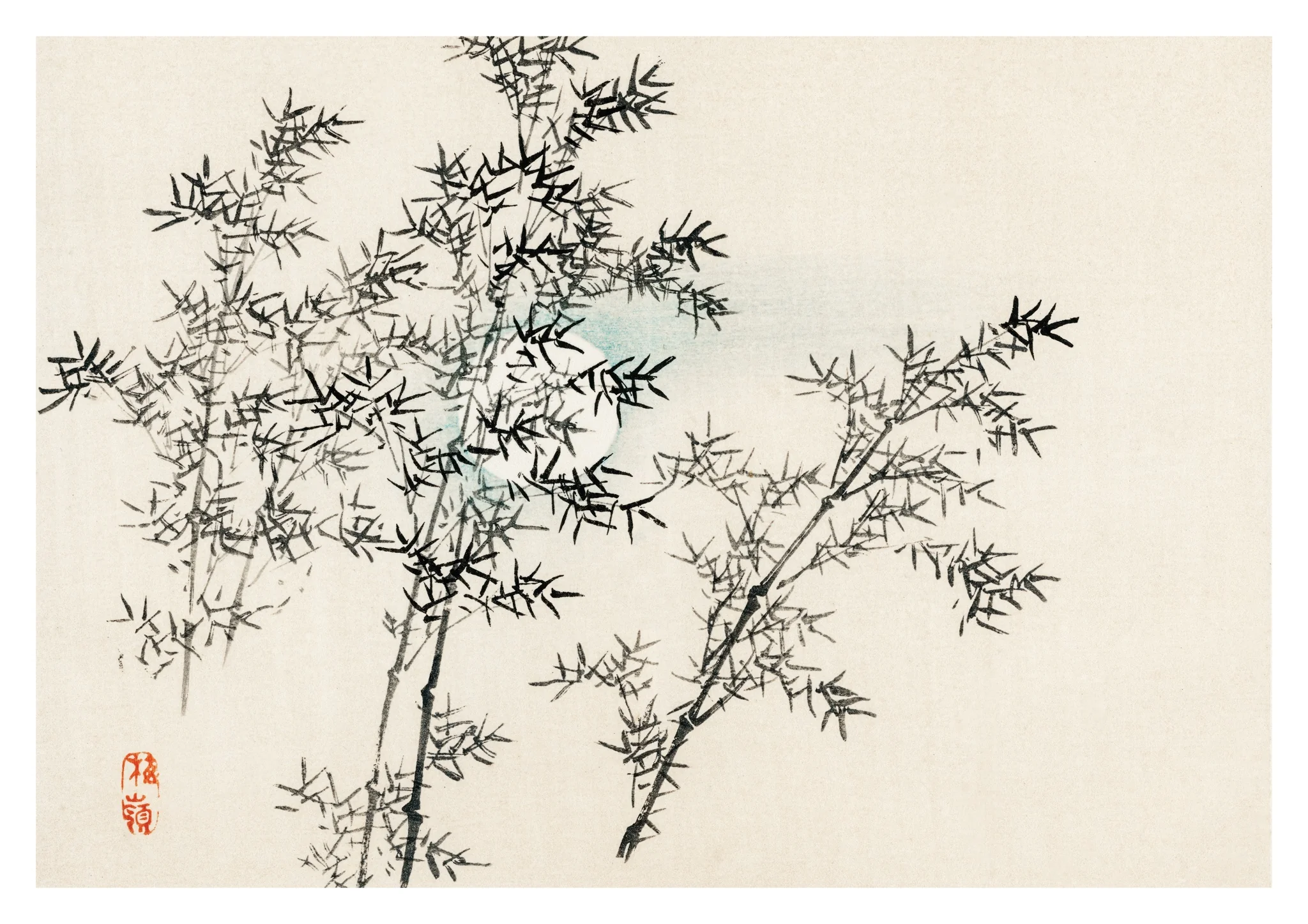 Bamboo