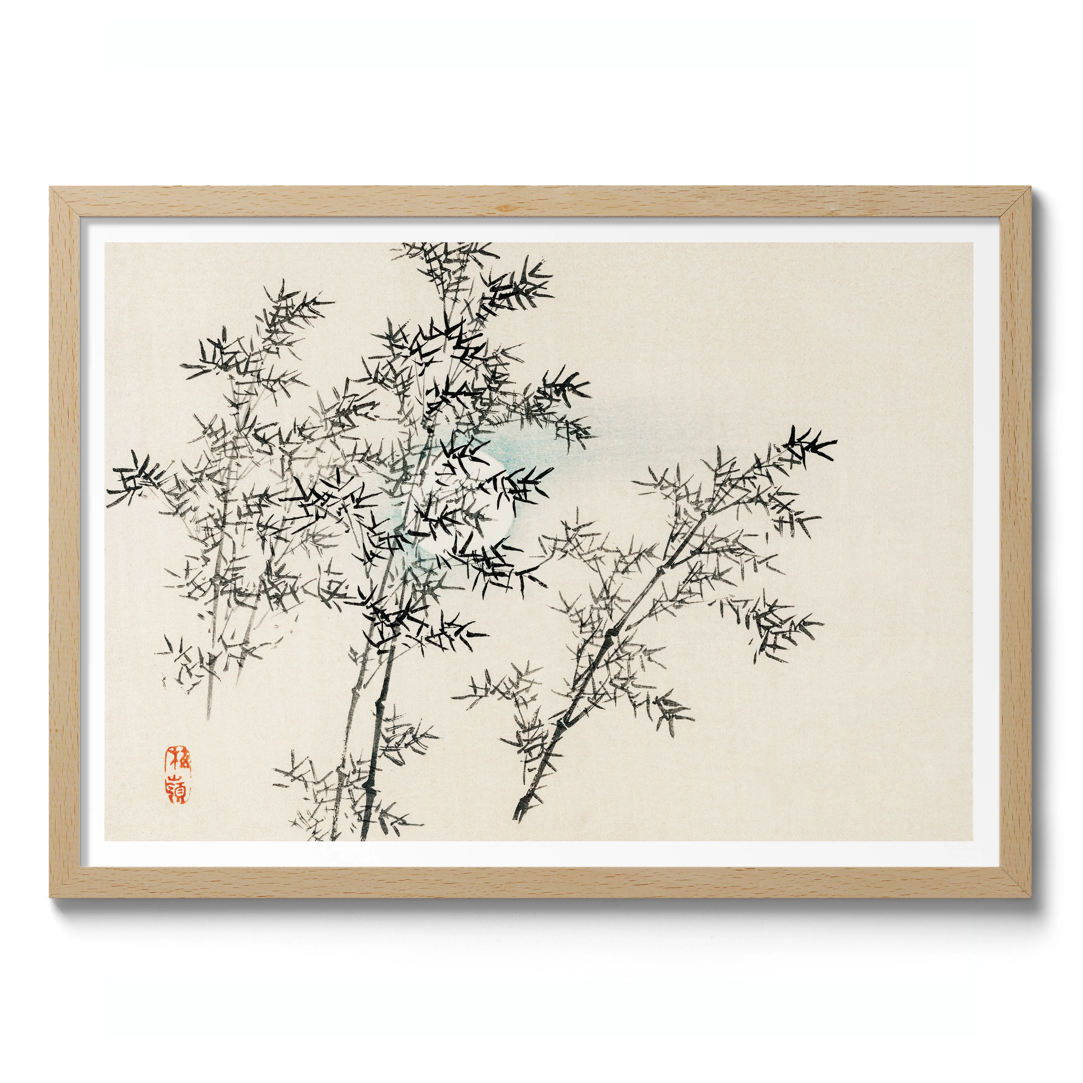 Bamboo - Image 3