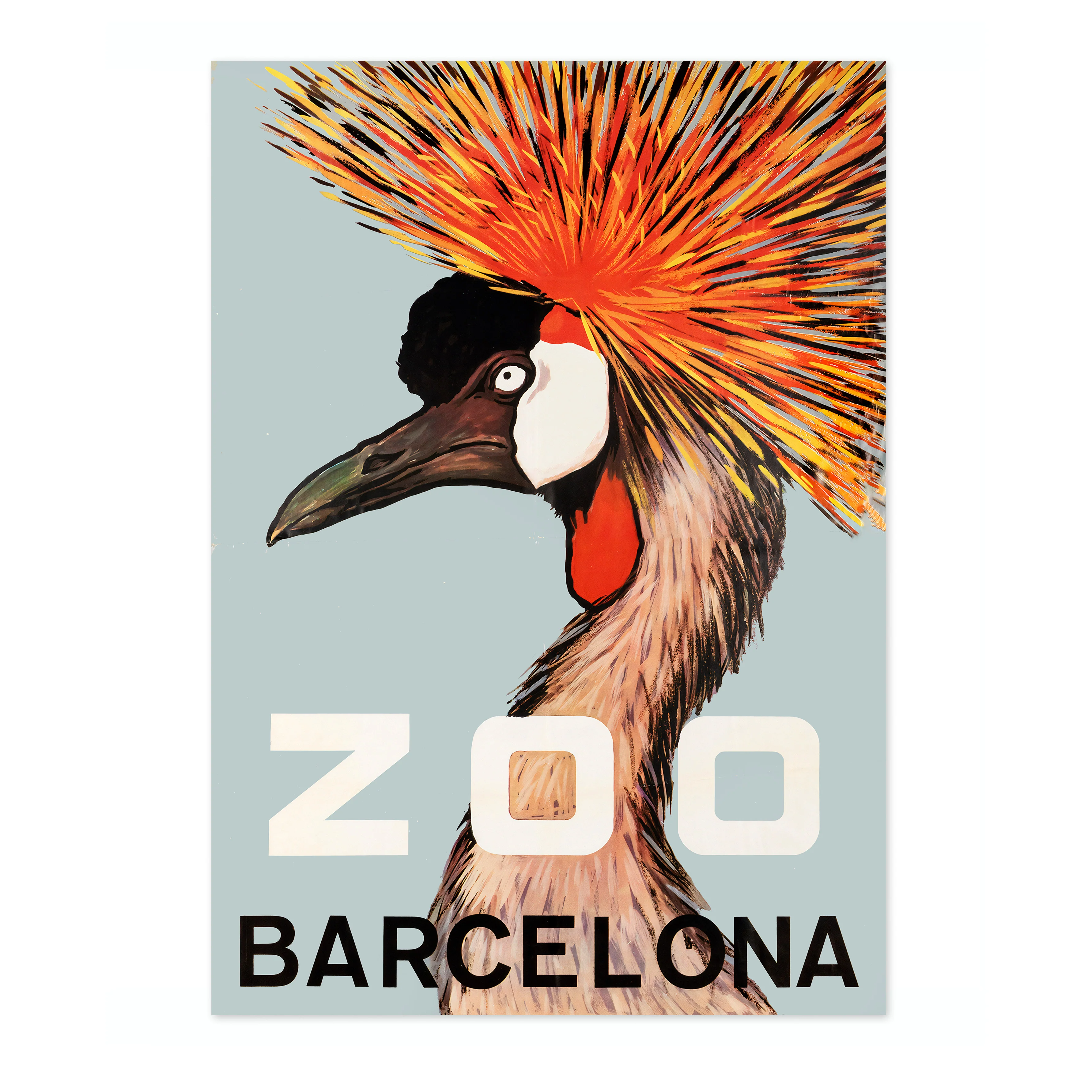 Barcelona Zoo - Image 4