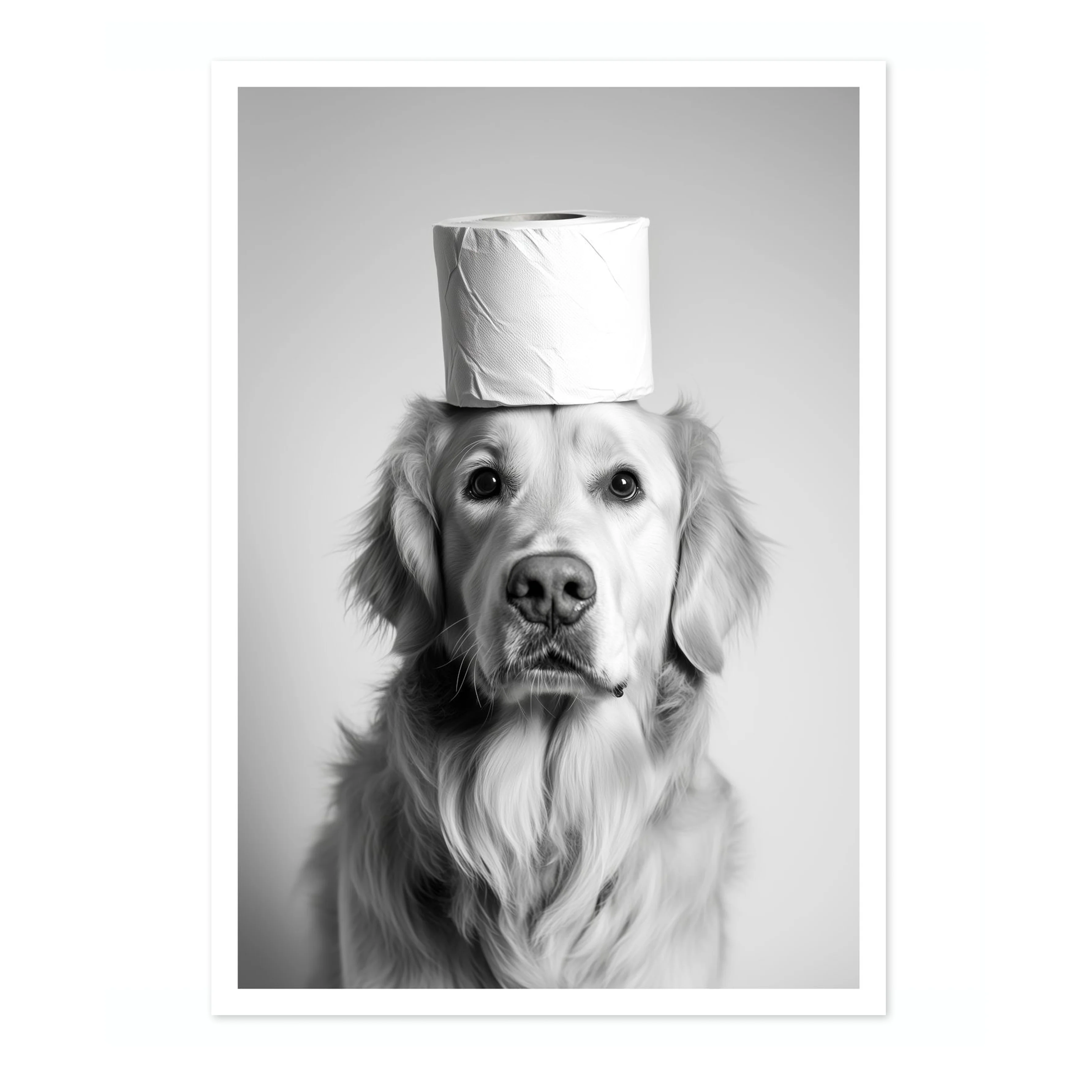 Bark & Roll - Image 4