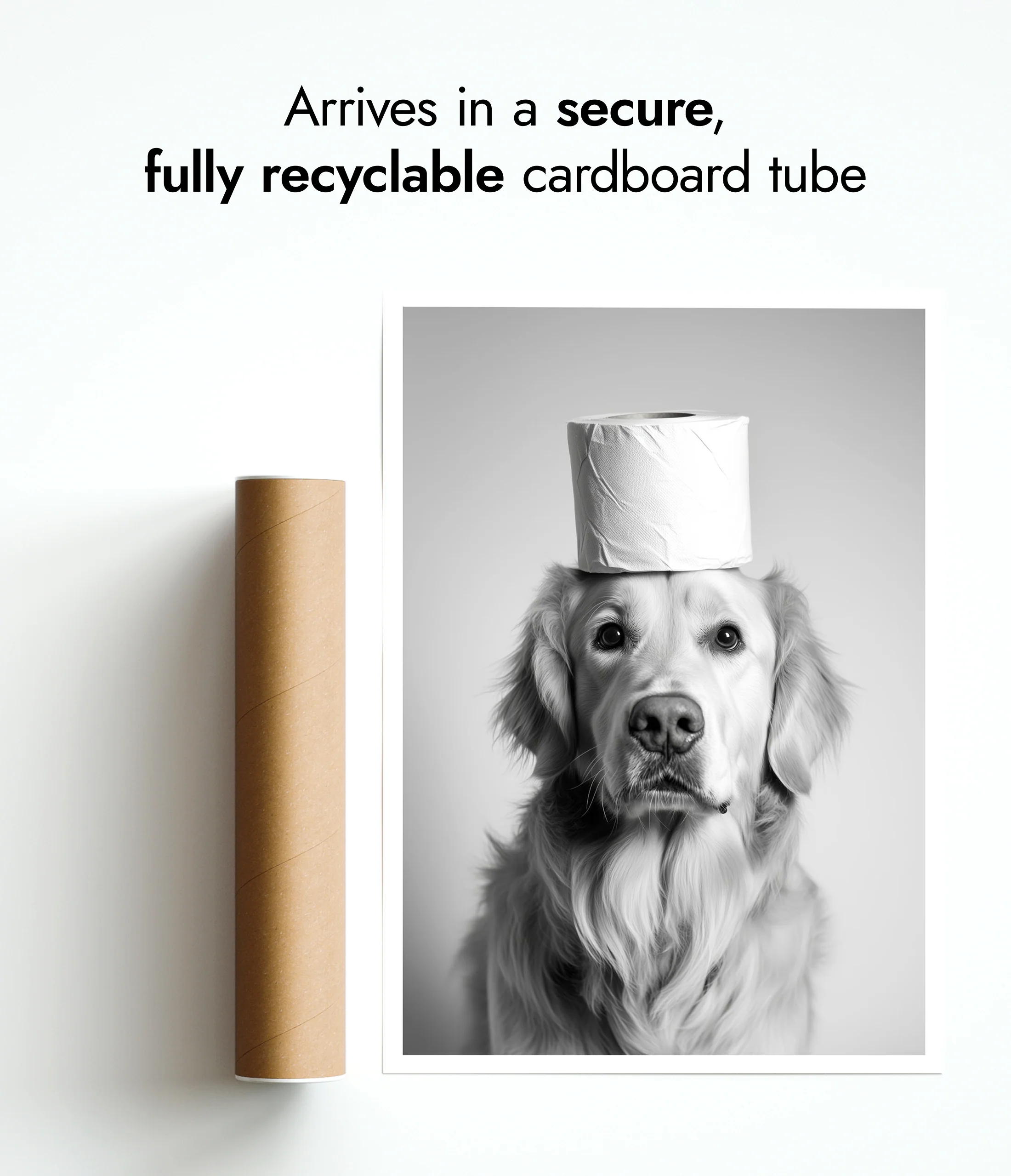 Bark & Roll - Image 9