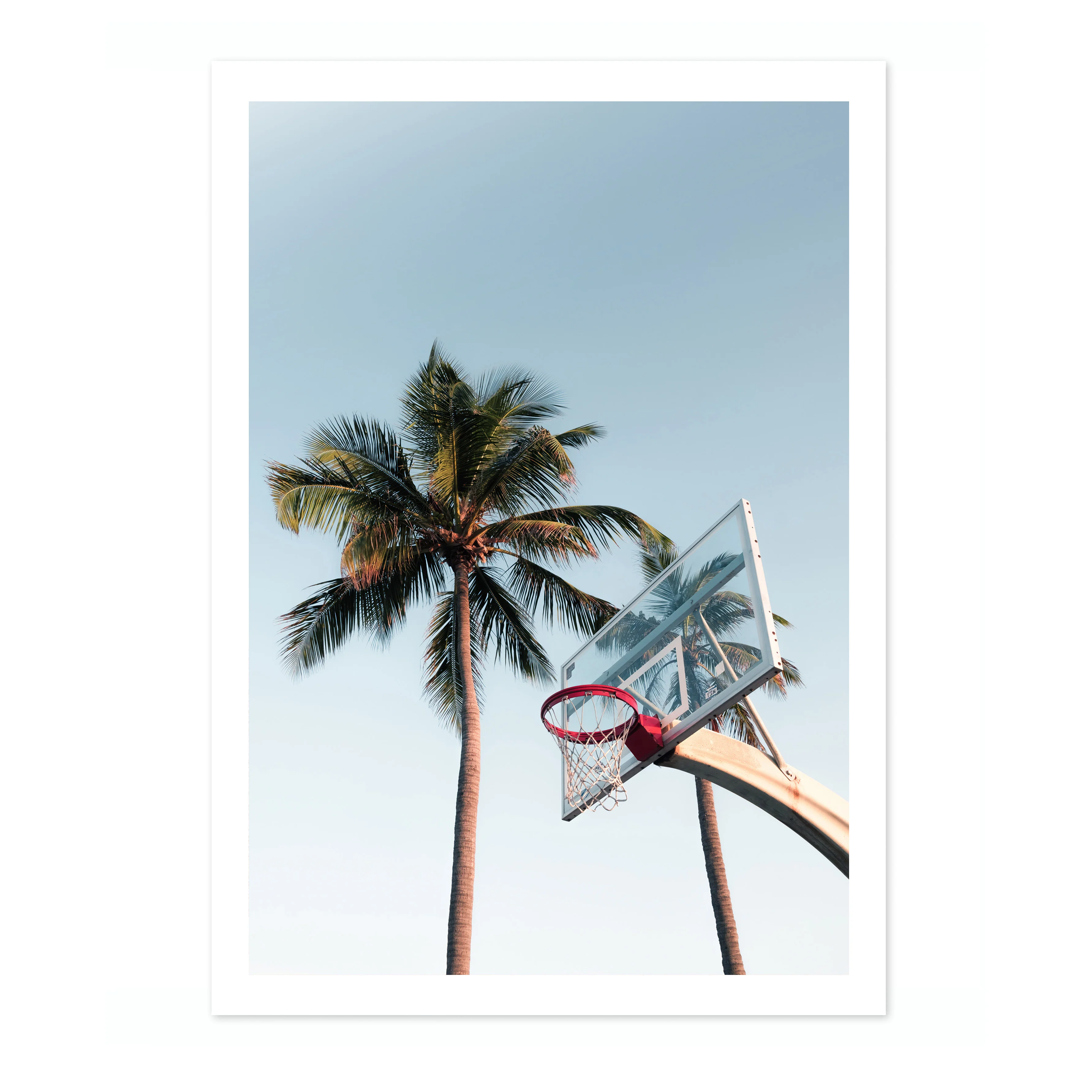 Basketball Hoop - Image 4