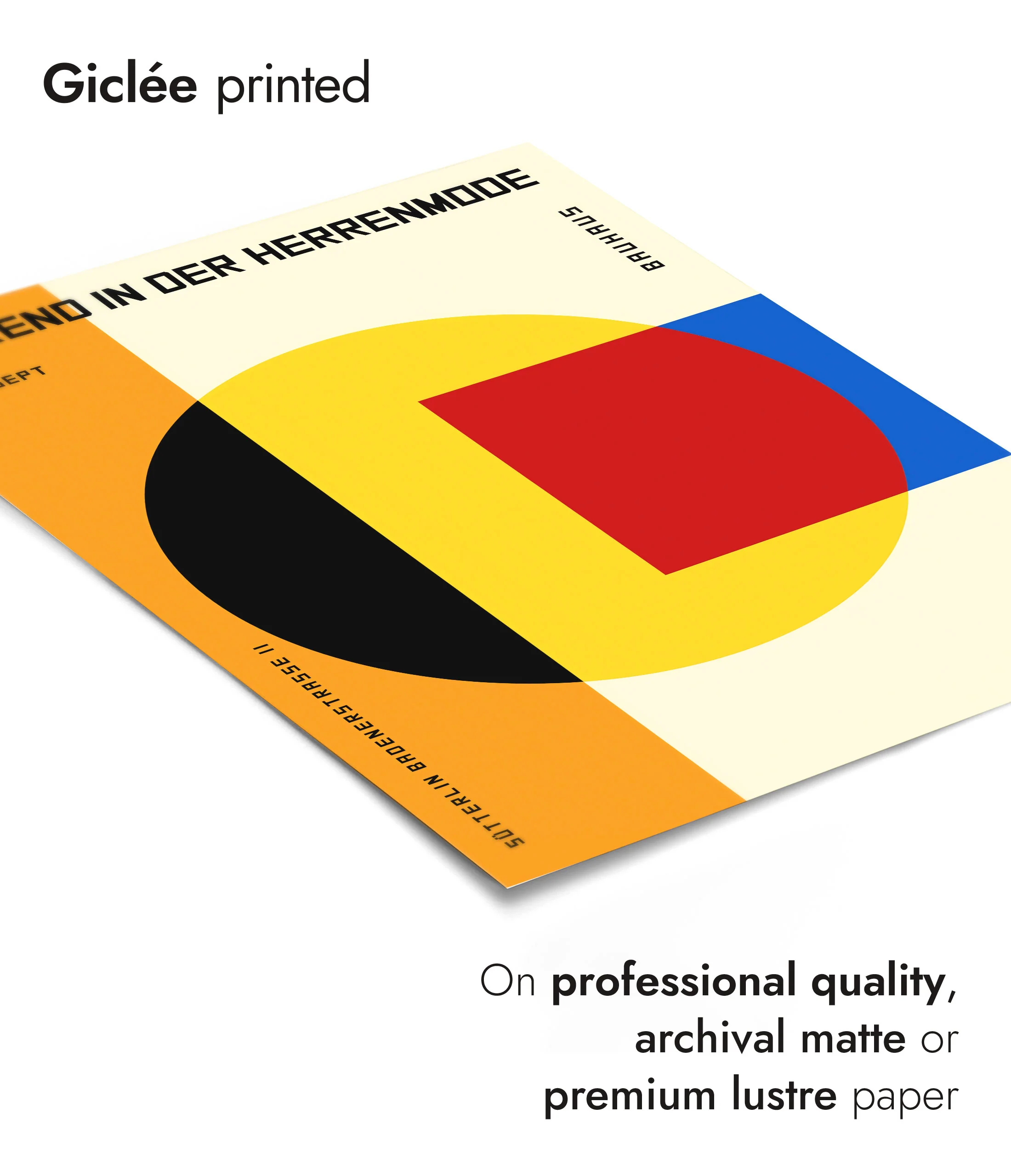Circle & Square - Image 6