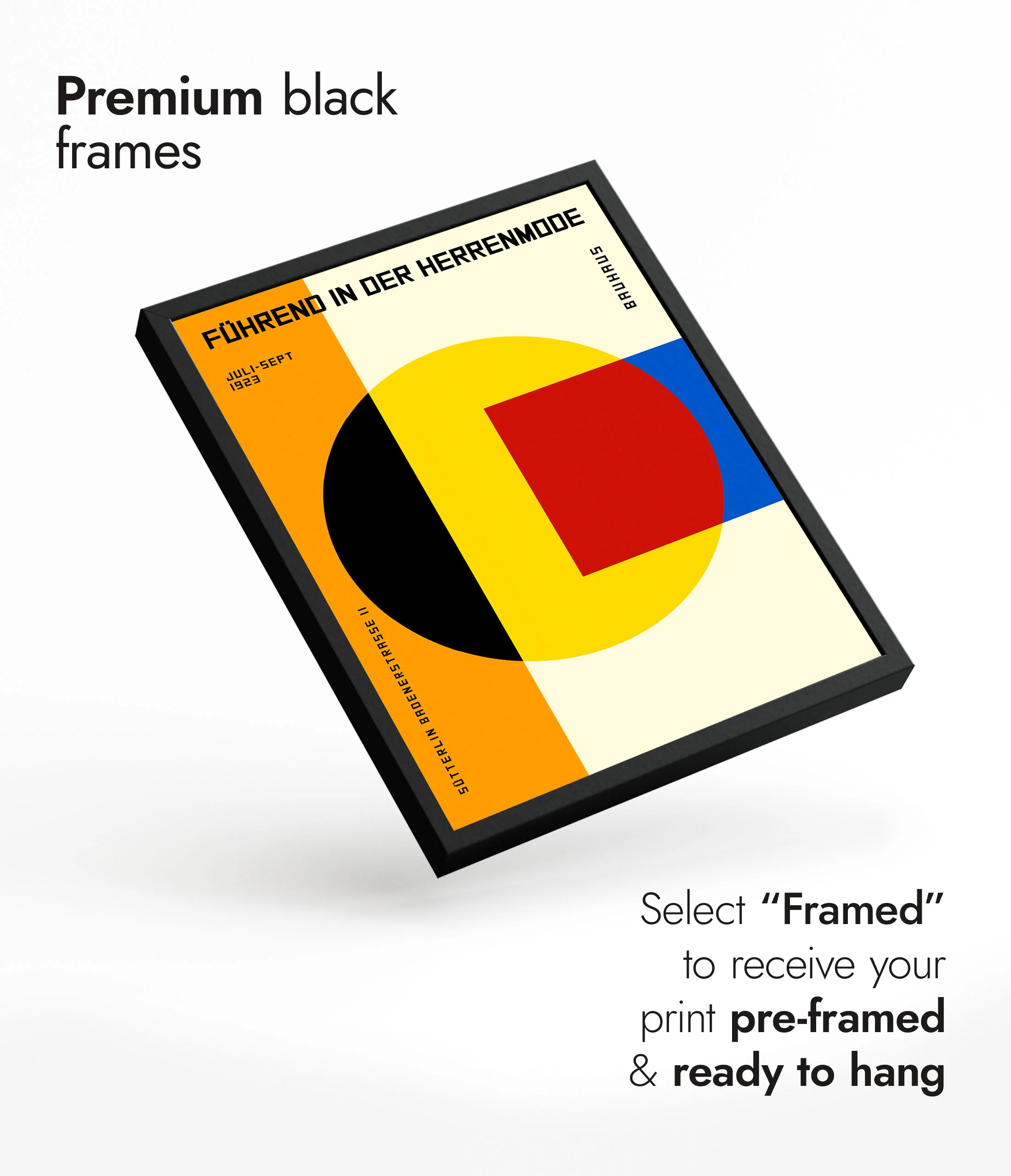 Circle & Square - Image 7