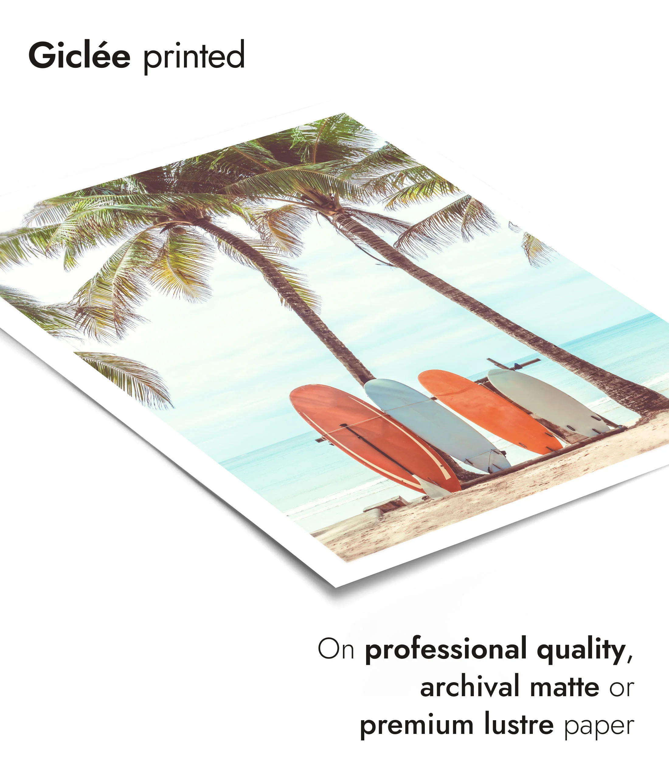 Beach Boards - Image 6