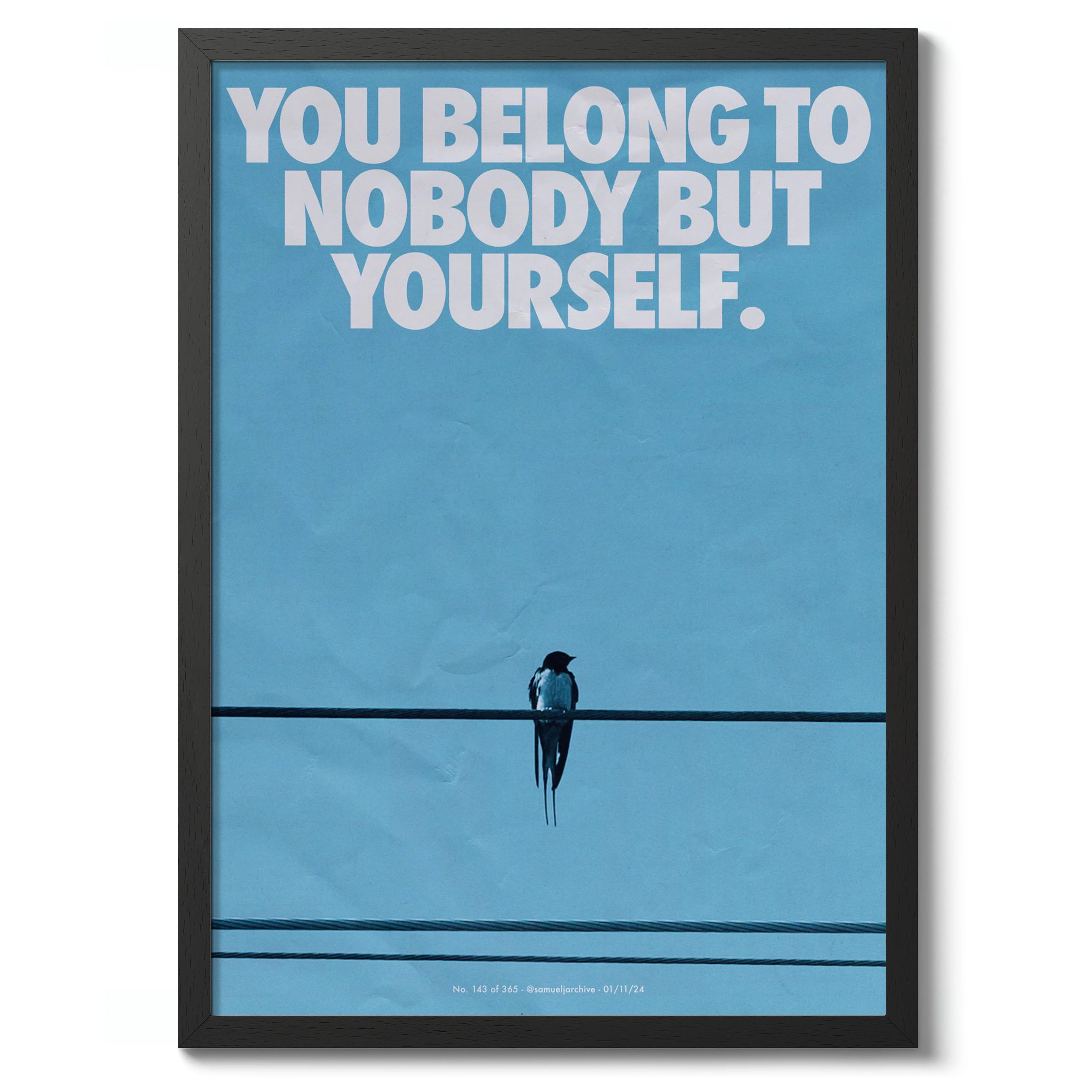 Belong to No-One - Image 2