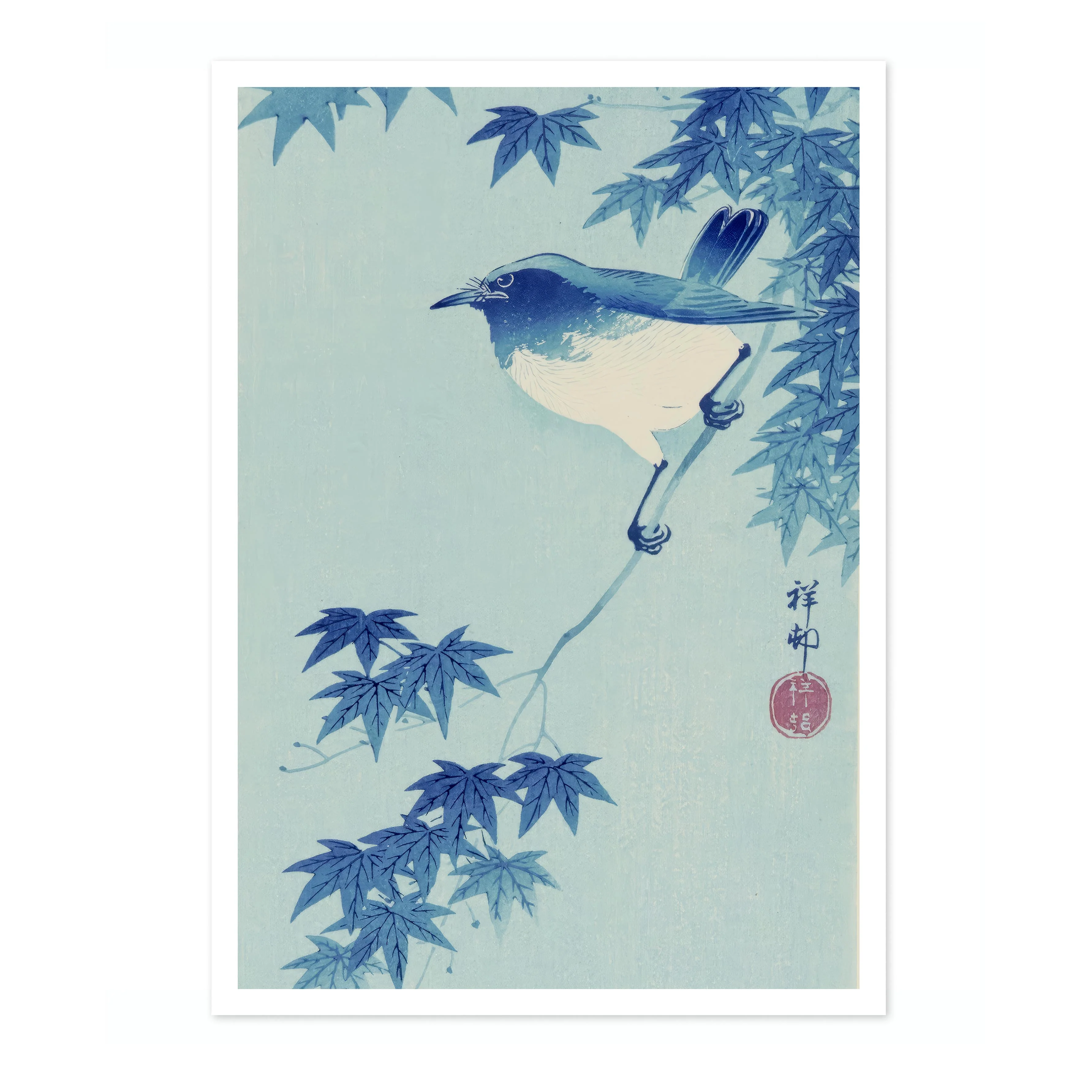 Bird - Image 4