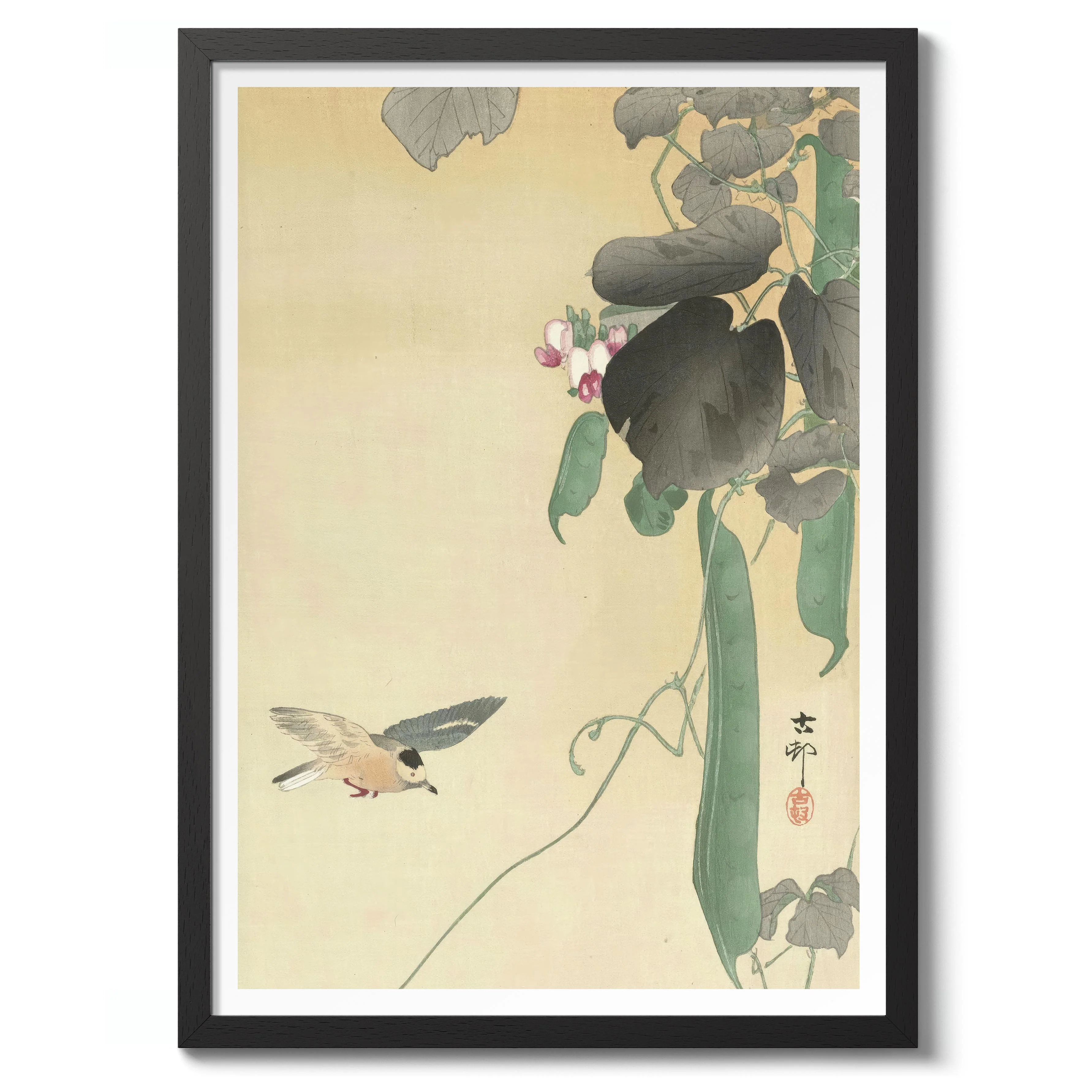 Bird at Flowering Bean Plant - Image 2