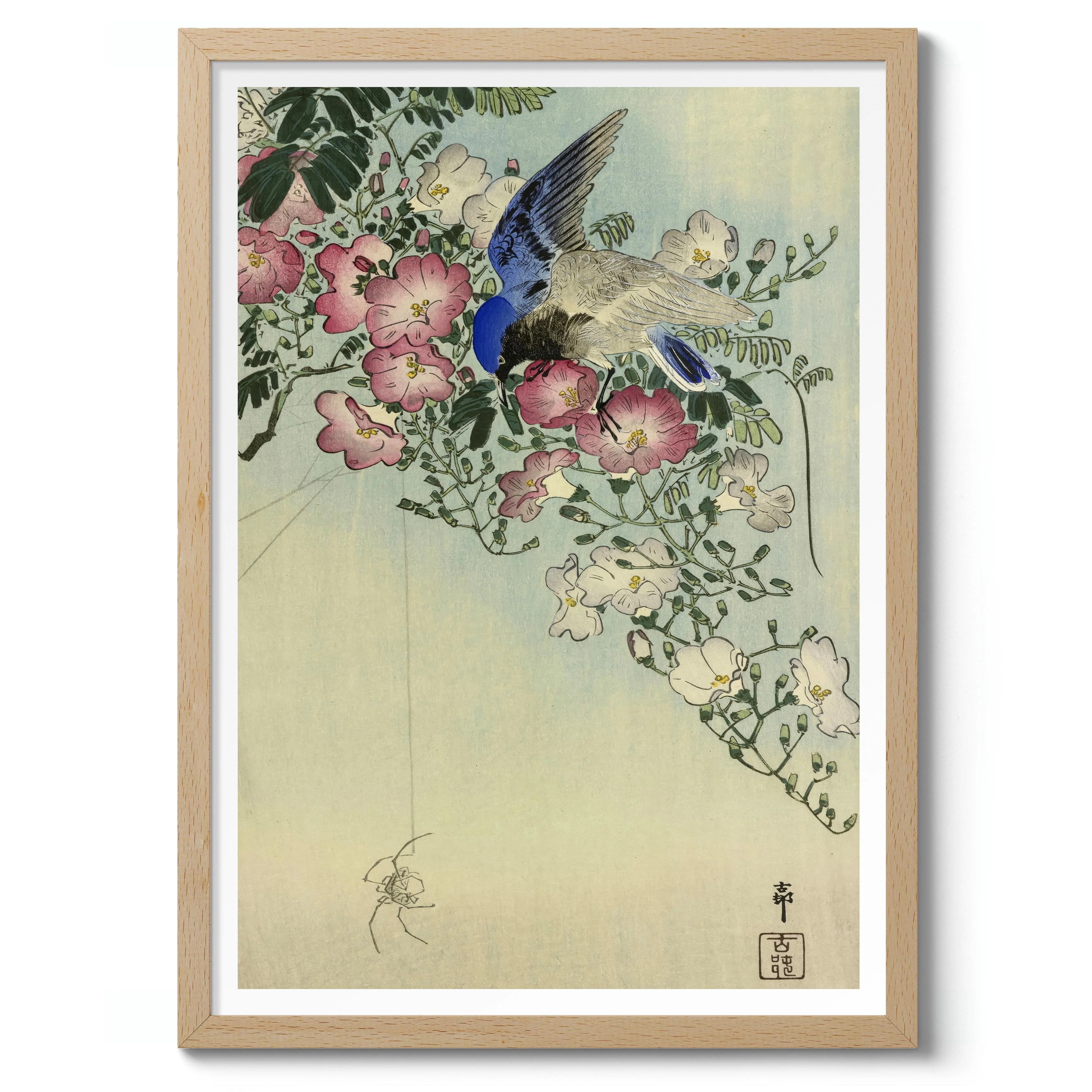 Bird Perched on Flowering Plant, Eyeing a Spider - Image 3