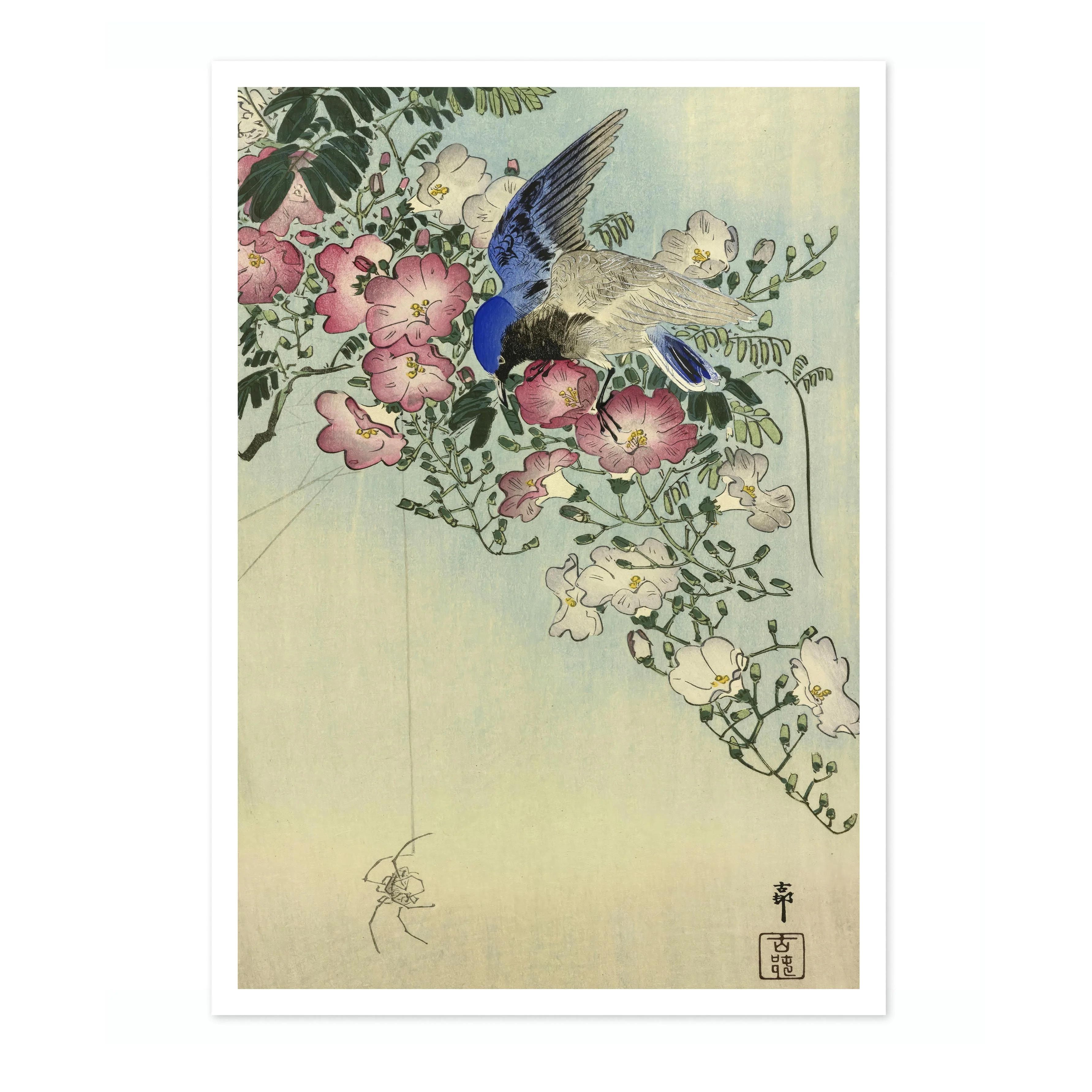 Bird Perched on Flowering Plant, Eyeing a Spider - Image 4