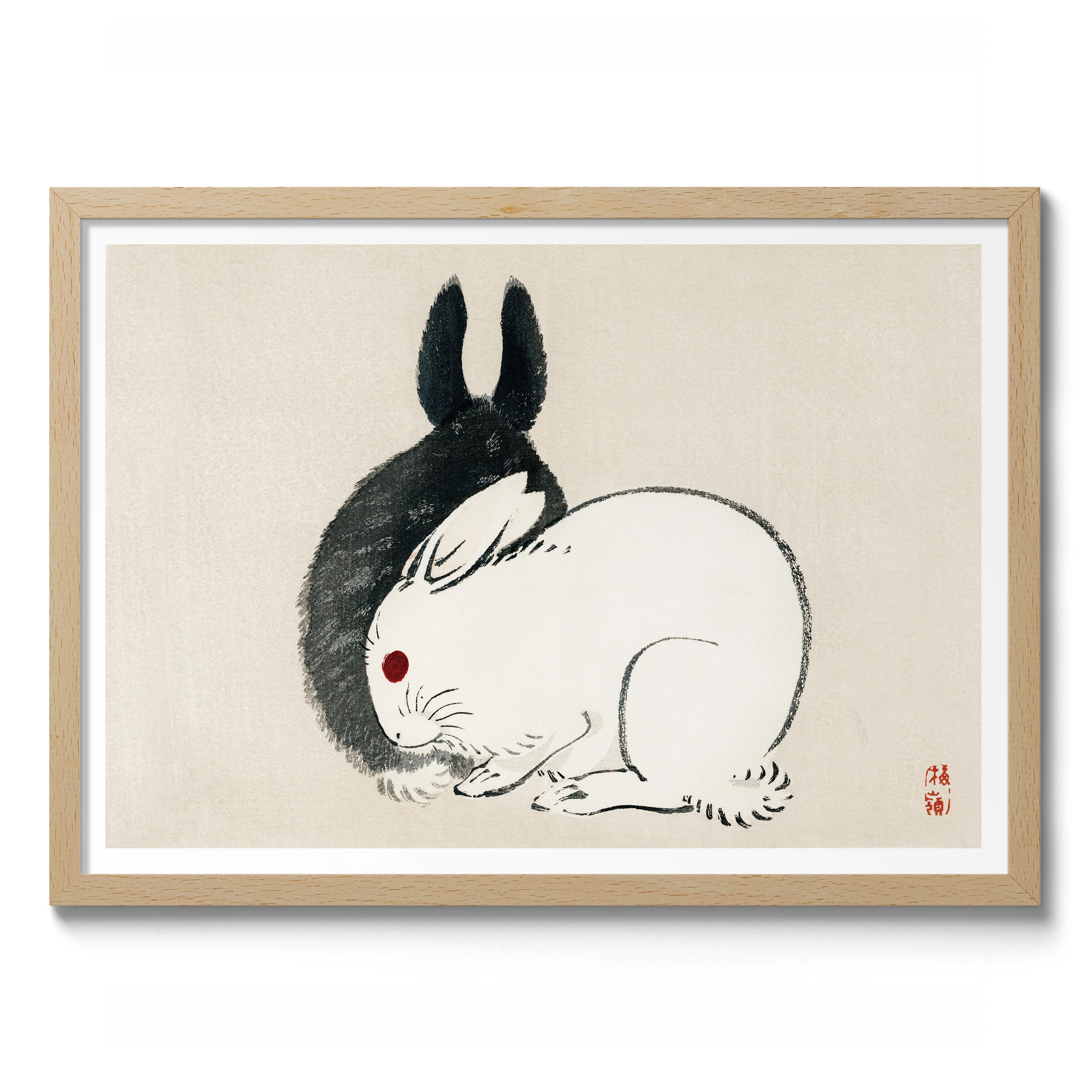 Black and White Rabbits - Image 3