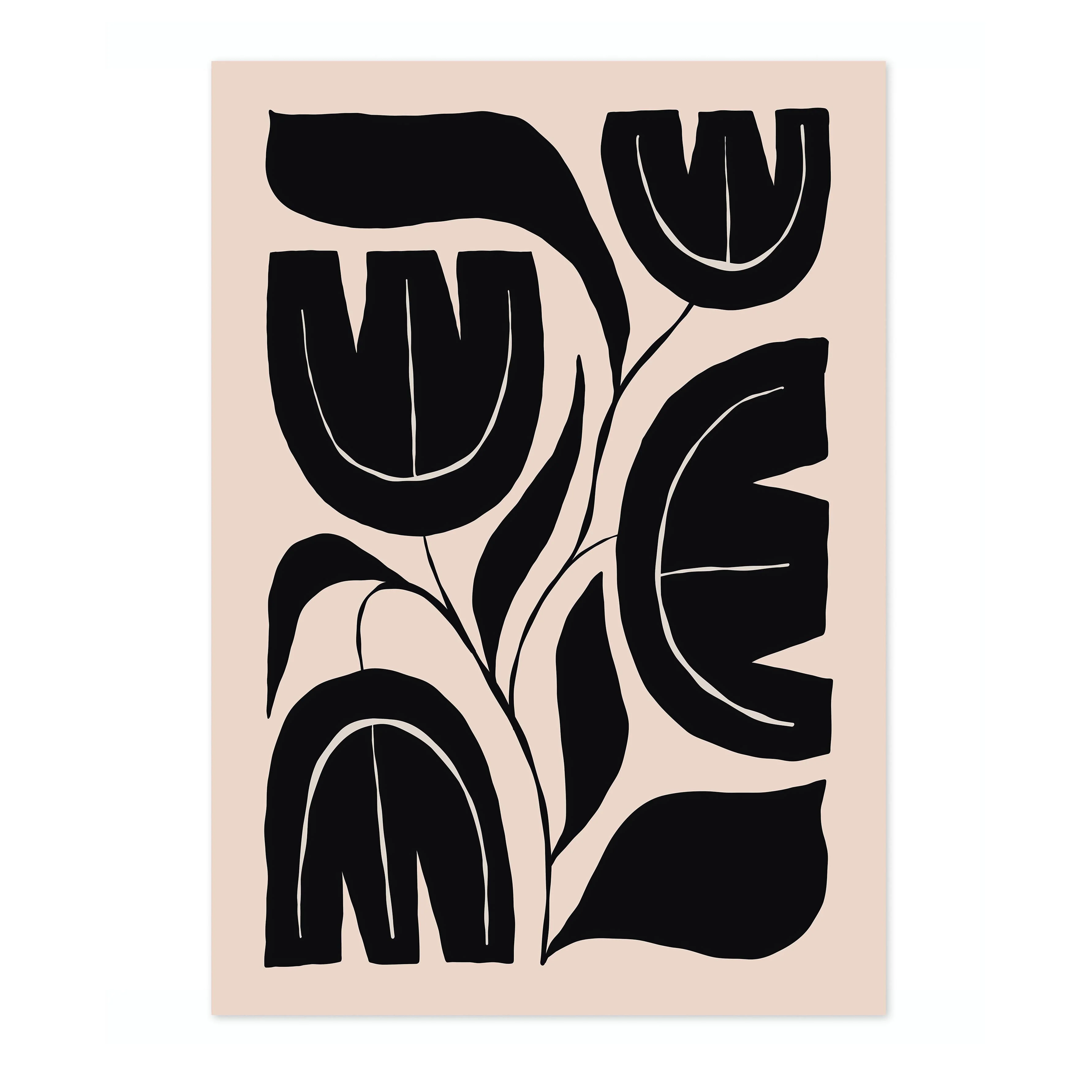 Black Cactus - Image 4