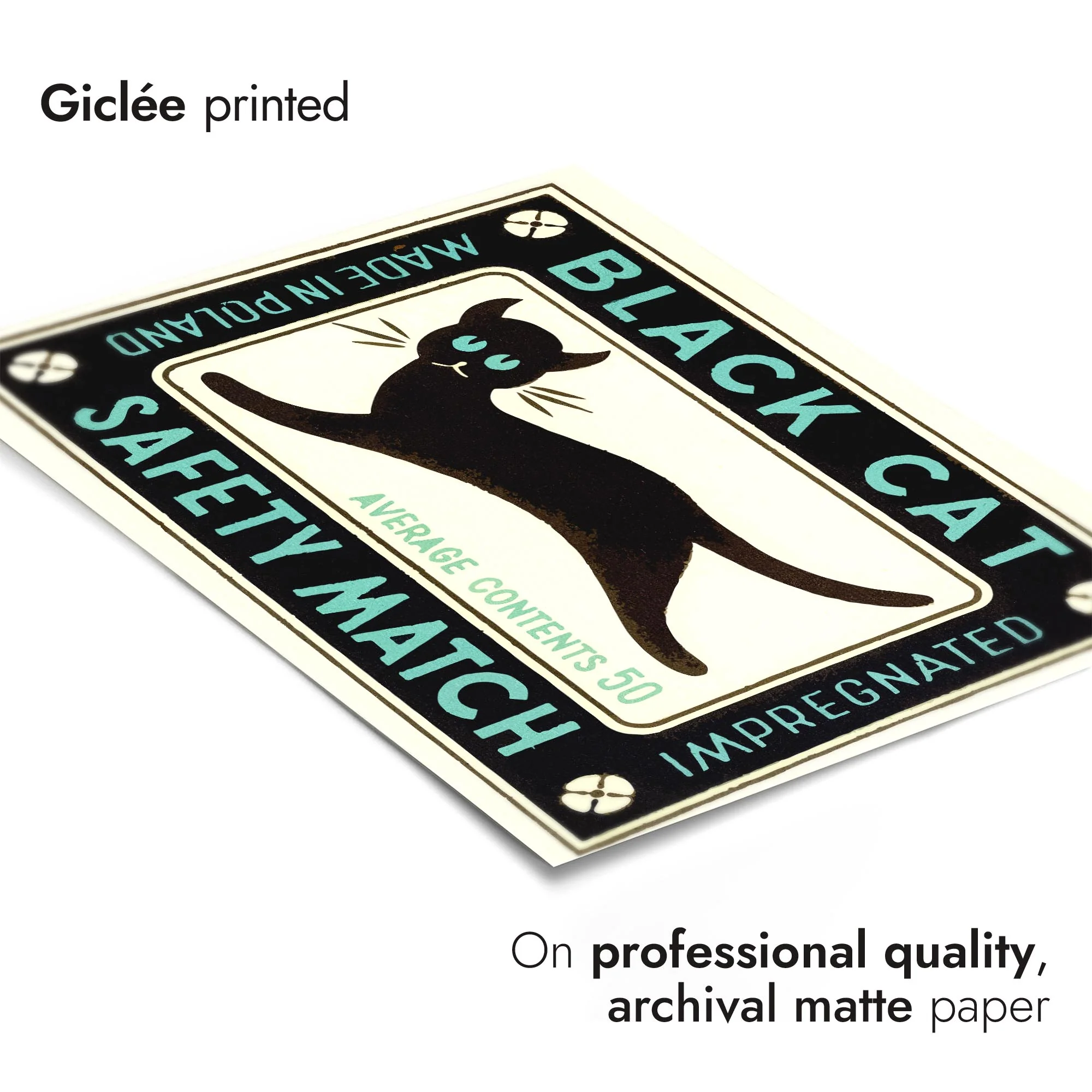 Black Cat - Image 6