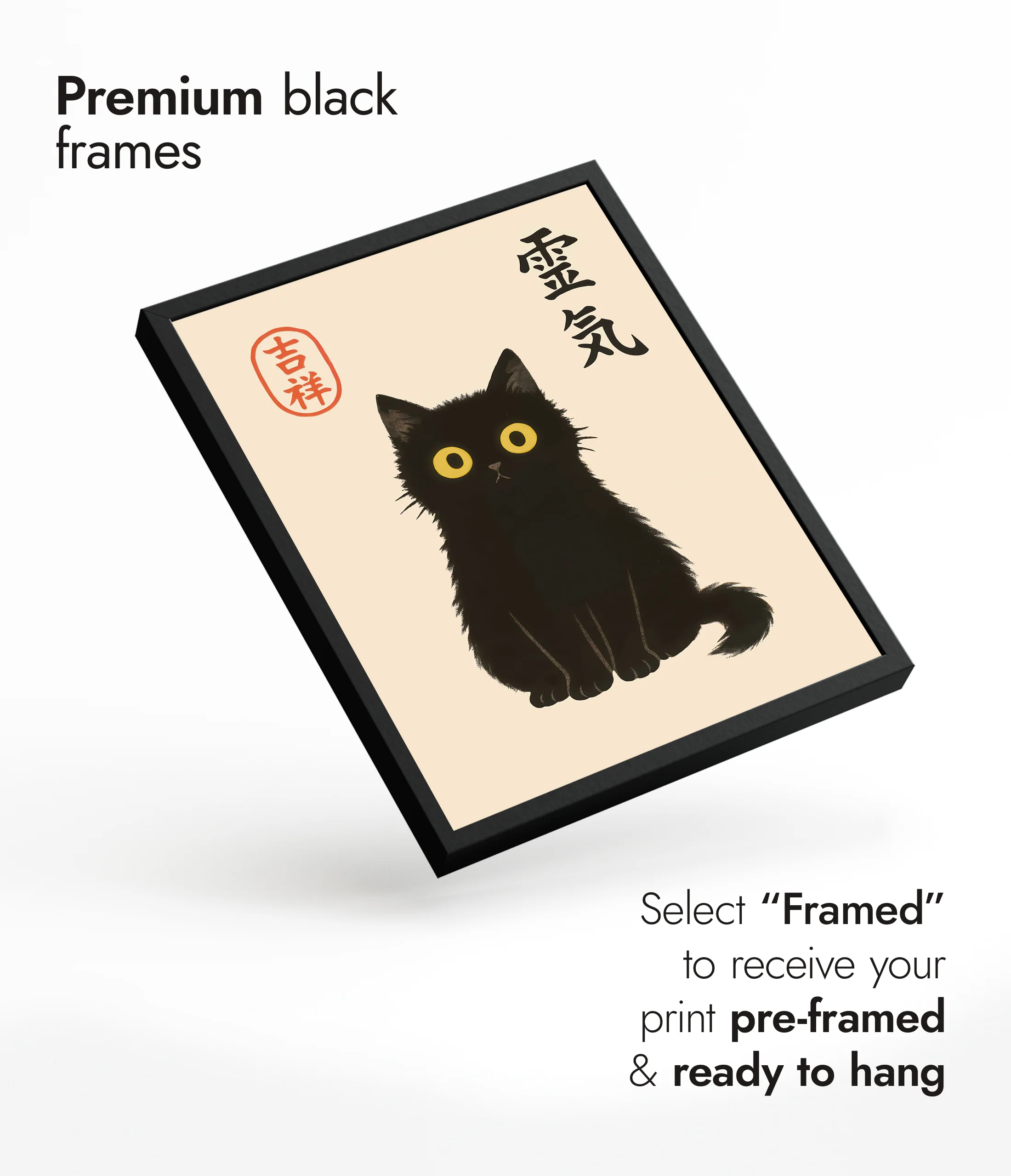 Black Cat - Image 7