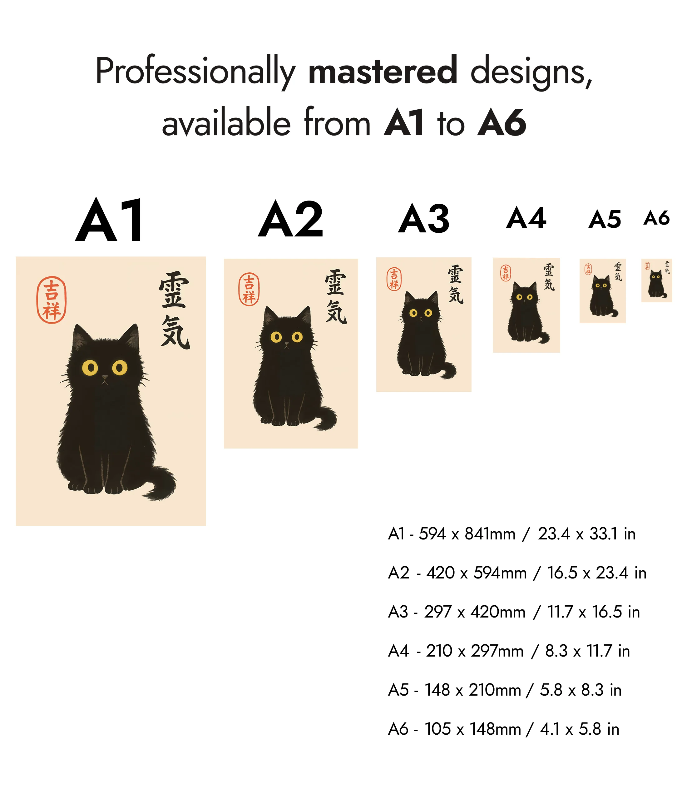 Black Cat - Image 8