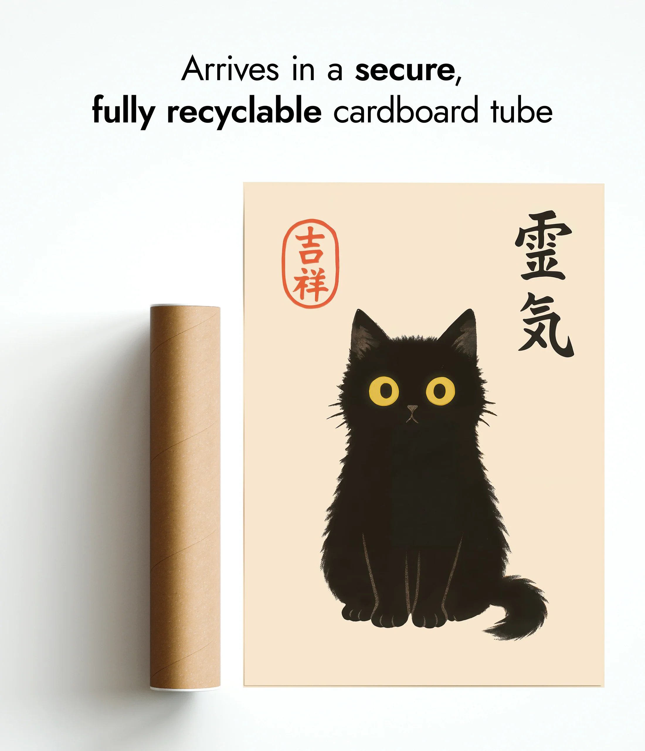 Black Cat - Image 9