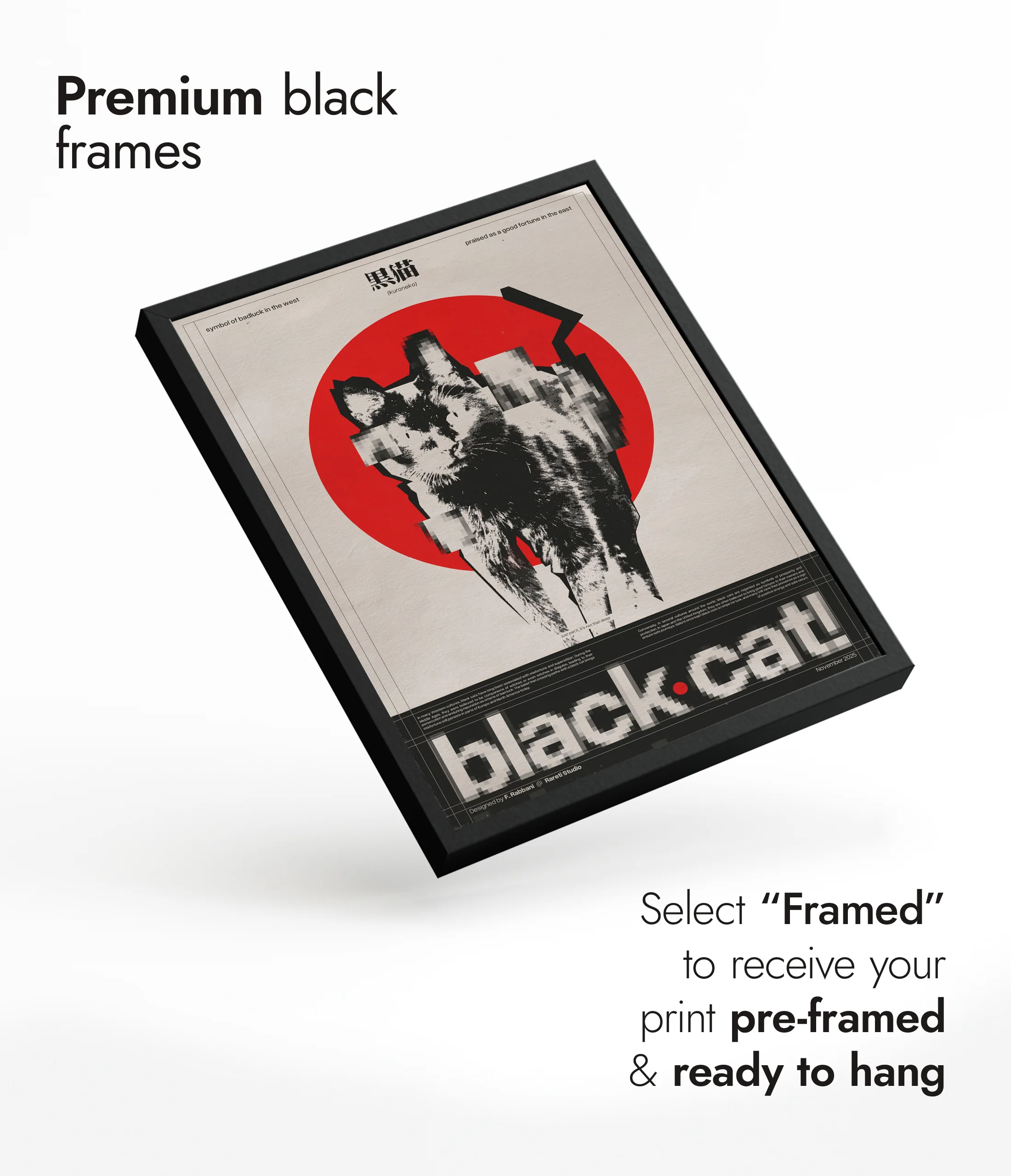 Black Cat - Image 7