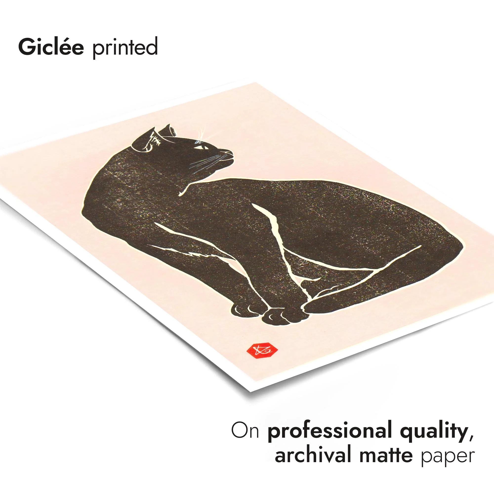Black Cat - Image 6