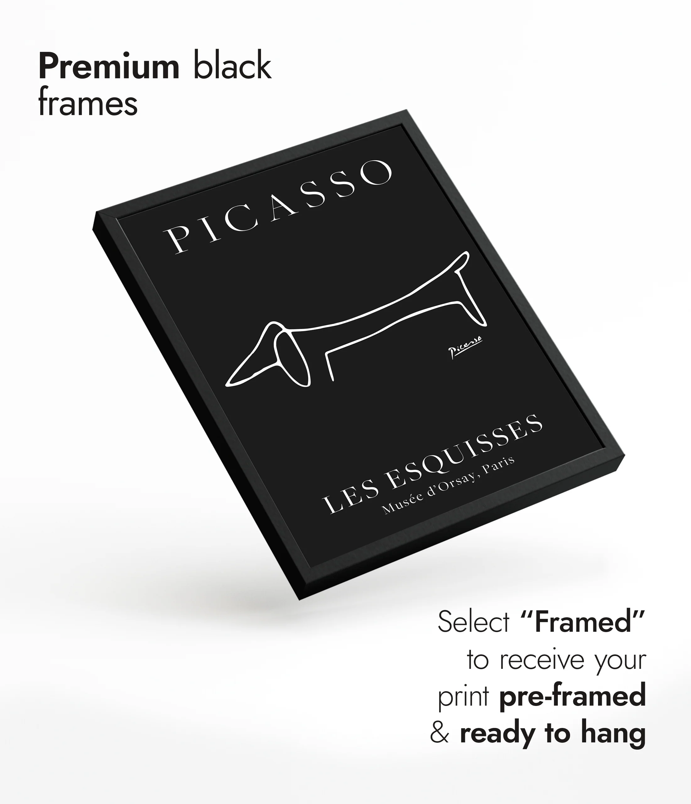 Black Dog - Image 7