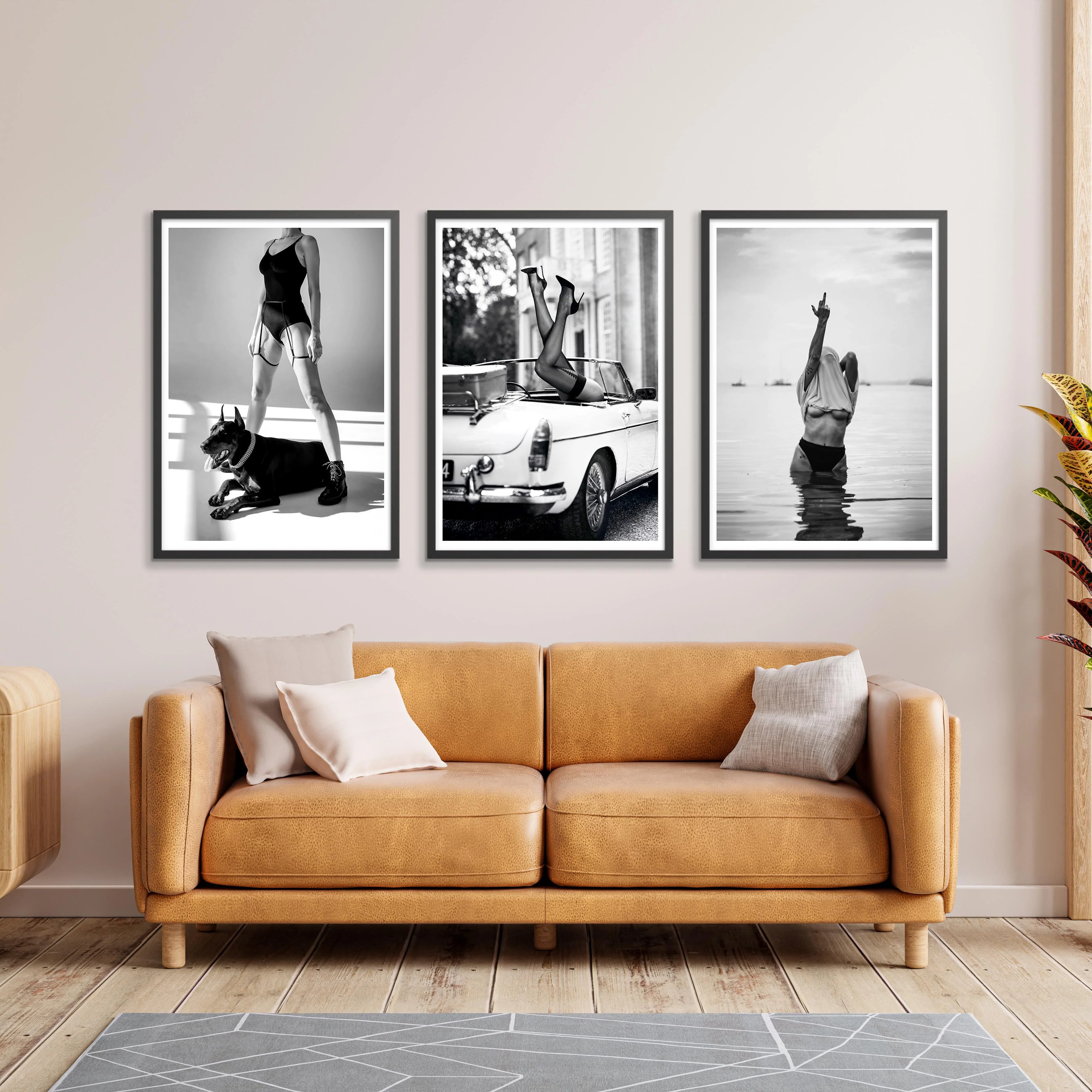 Black & White Selection II - Image 4