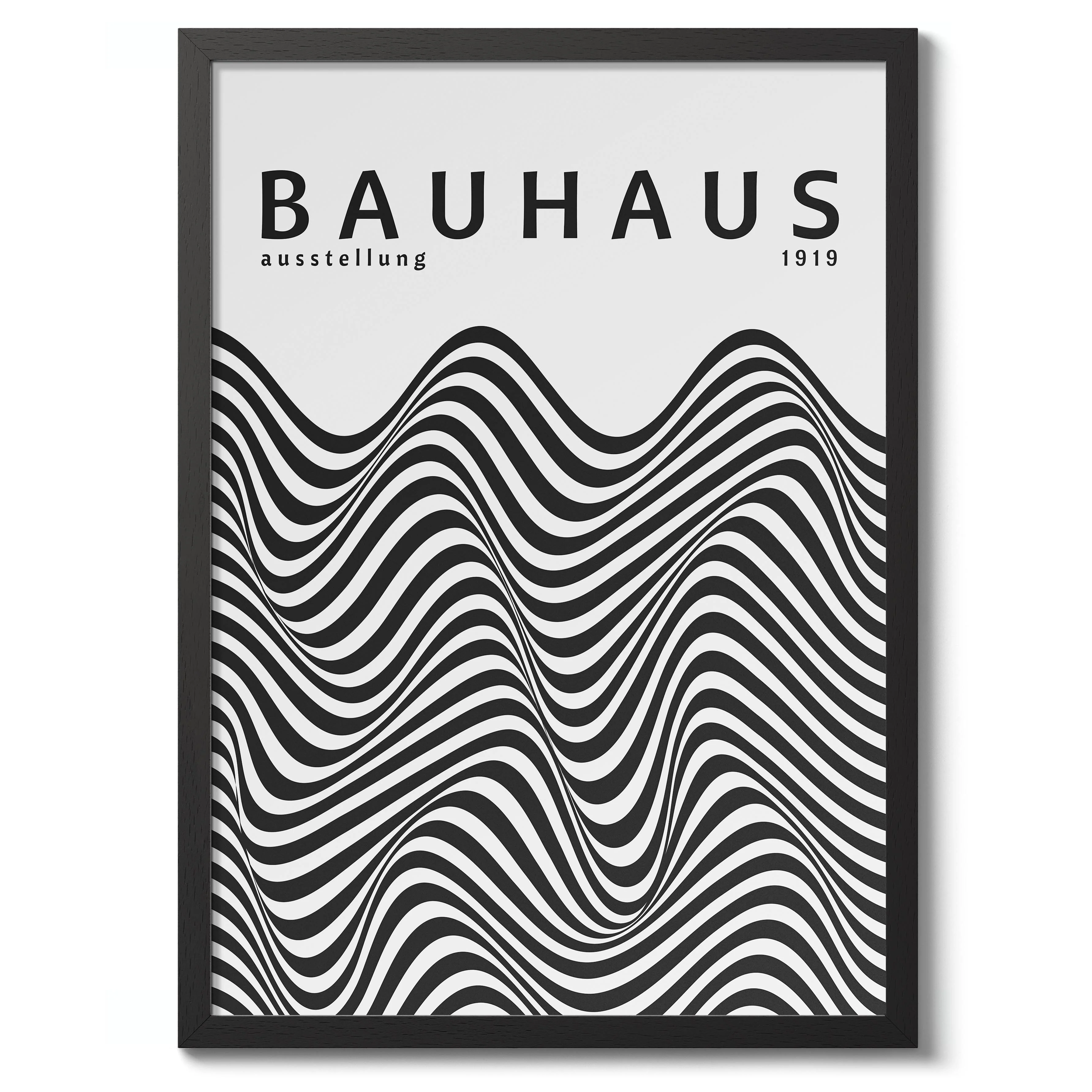 Black & White Zebra Stripes - Image 2