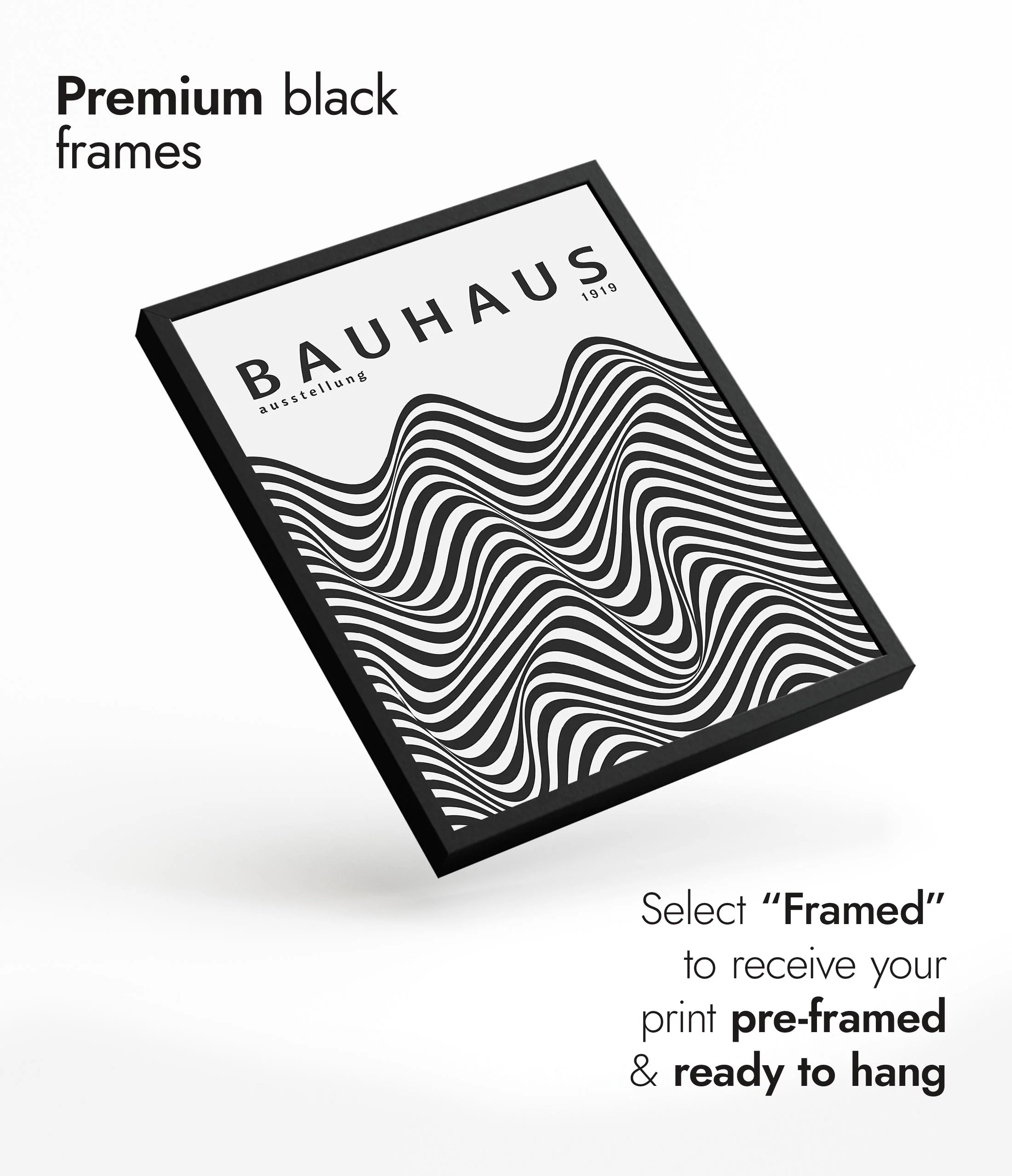 Black & White Zebra Stripes - Image 7