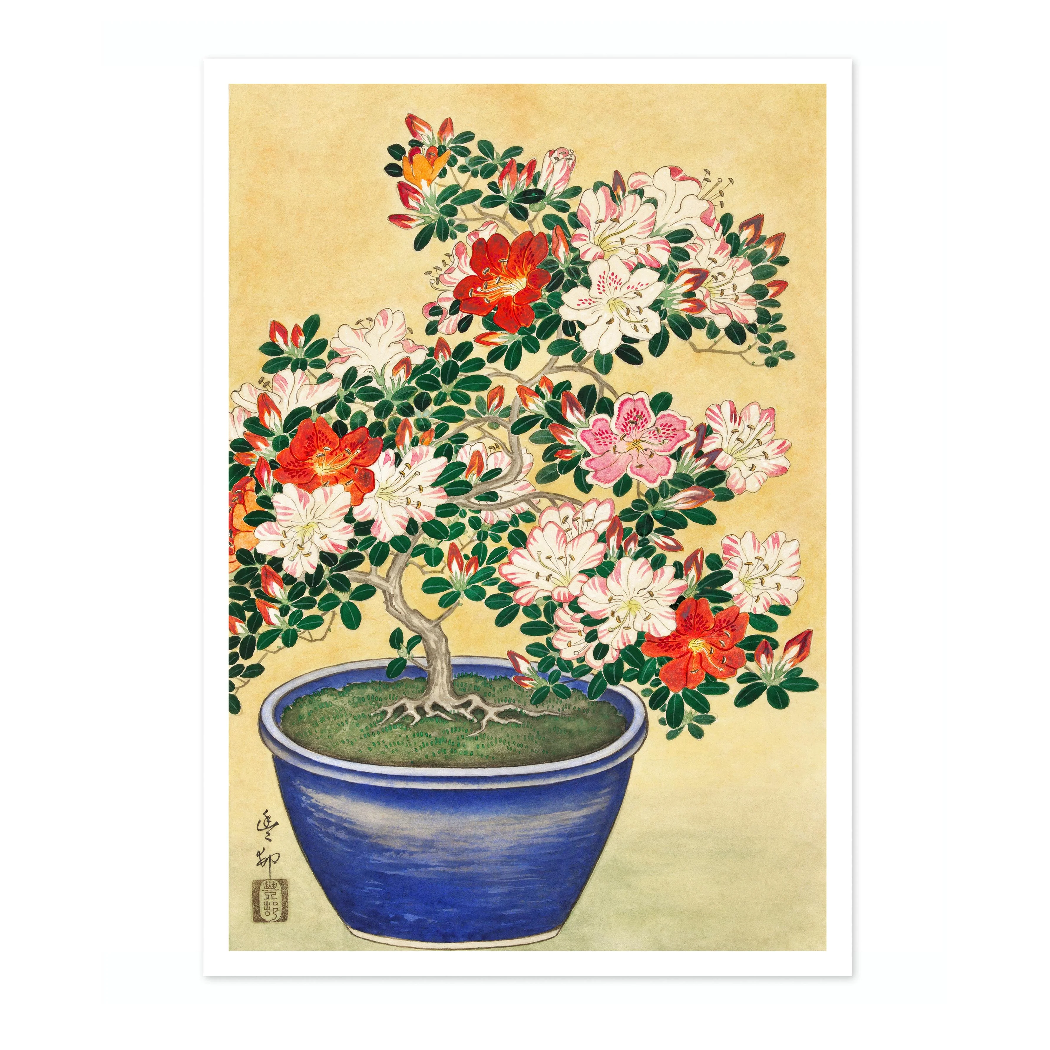 Blooming Azalea in Blue Pot - Image 4