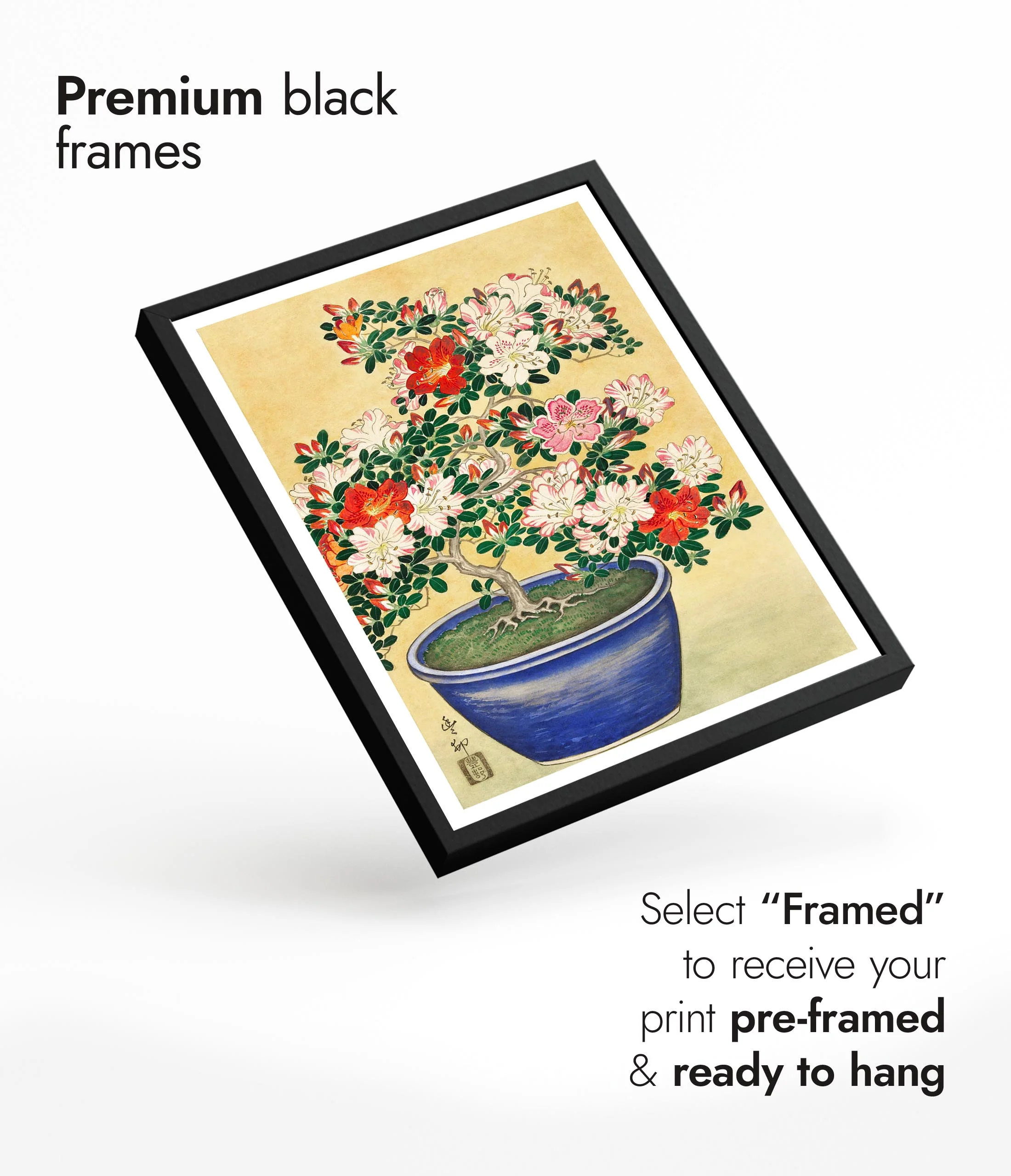 Blooming Azalea in Blue Pot - Image 7