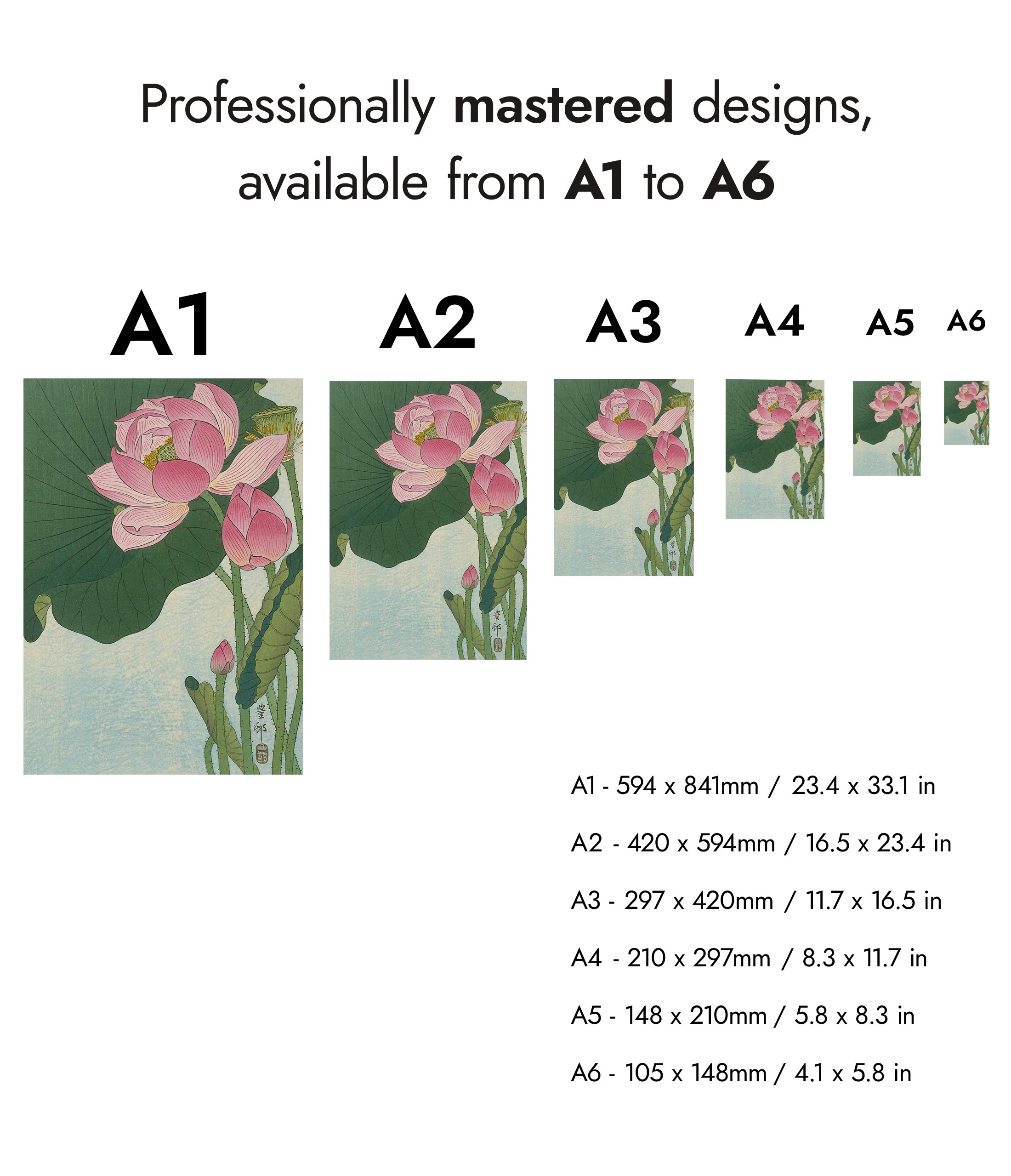 Blooming Lotus Flowers - Image 8