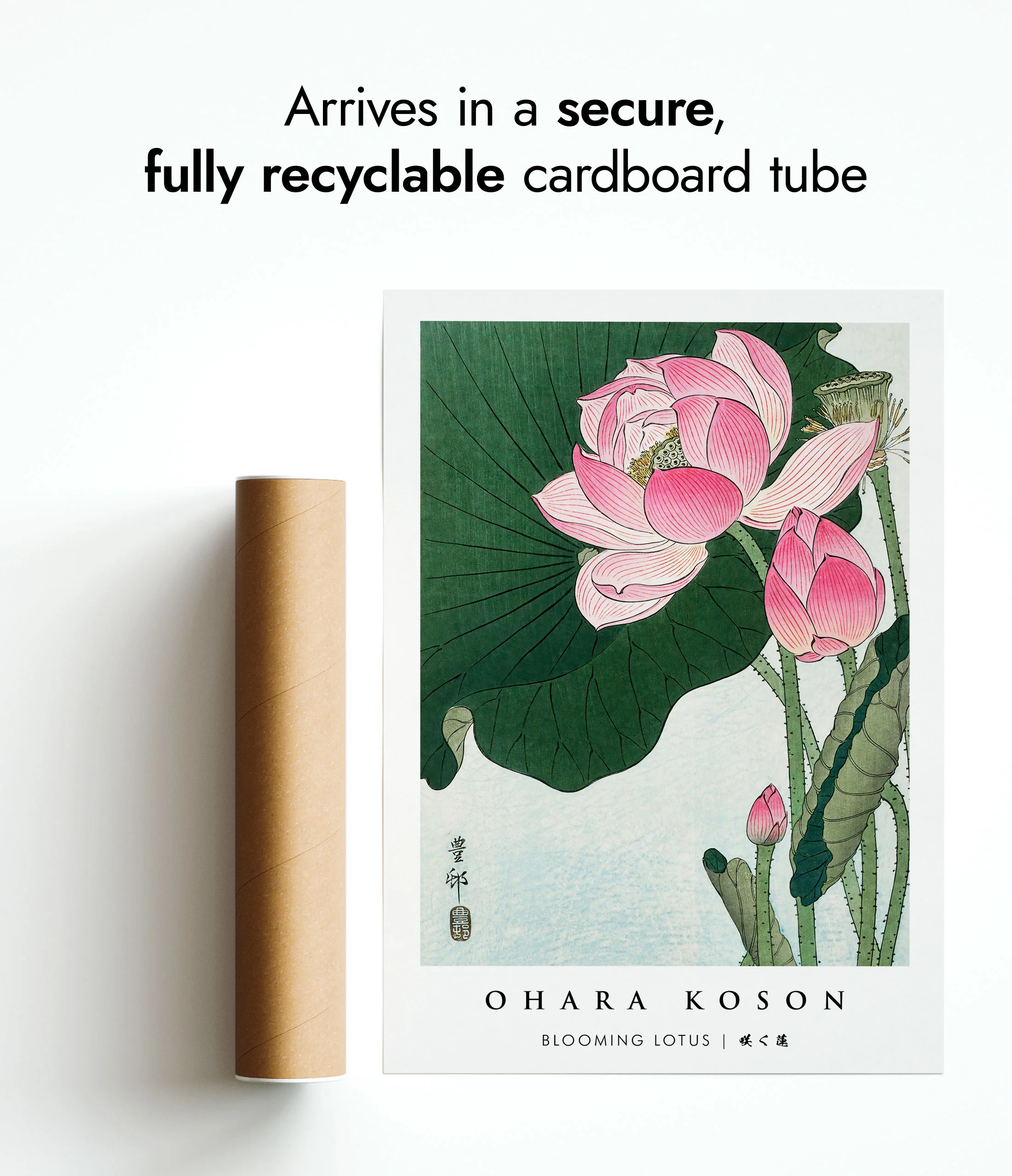 Blooming Lotus - Image 9