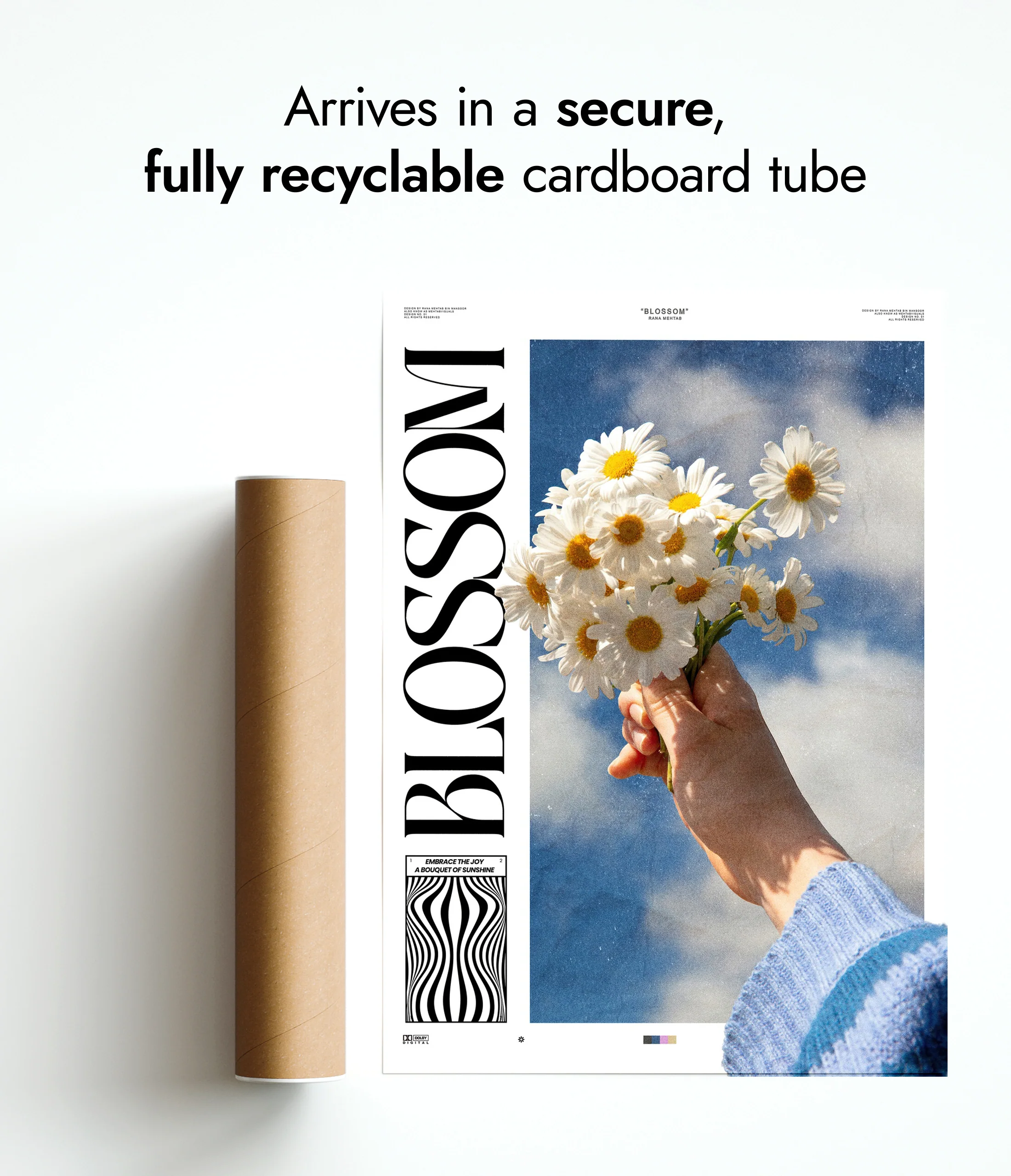 Blossom - Image 9