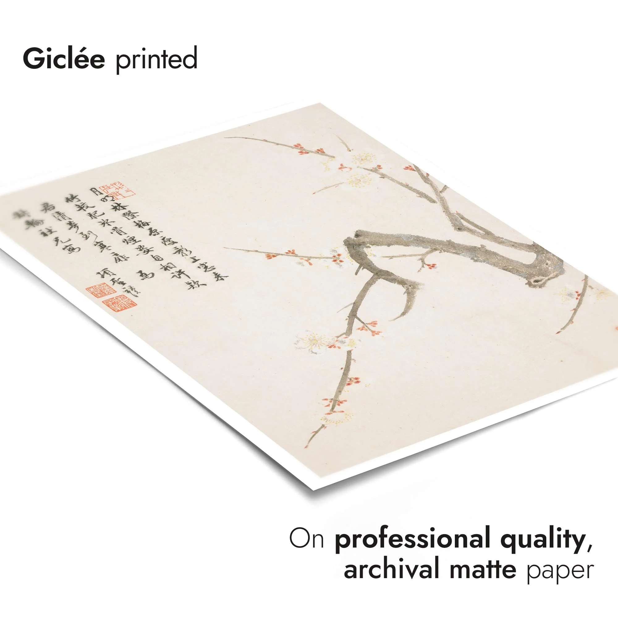 Blossoming Plum Flower - Image 6