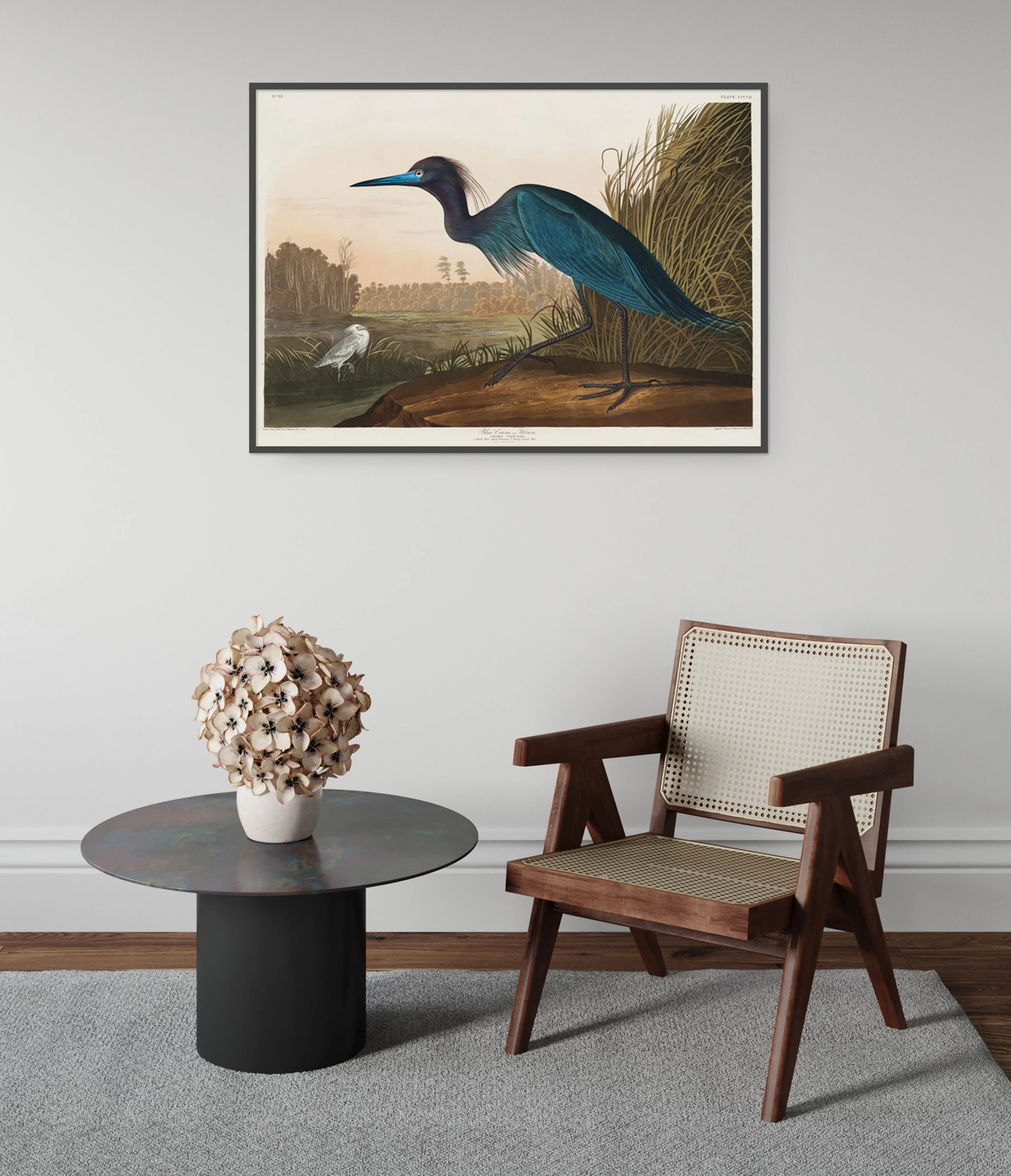Blue Crane - Image 5