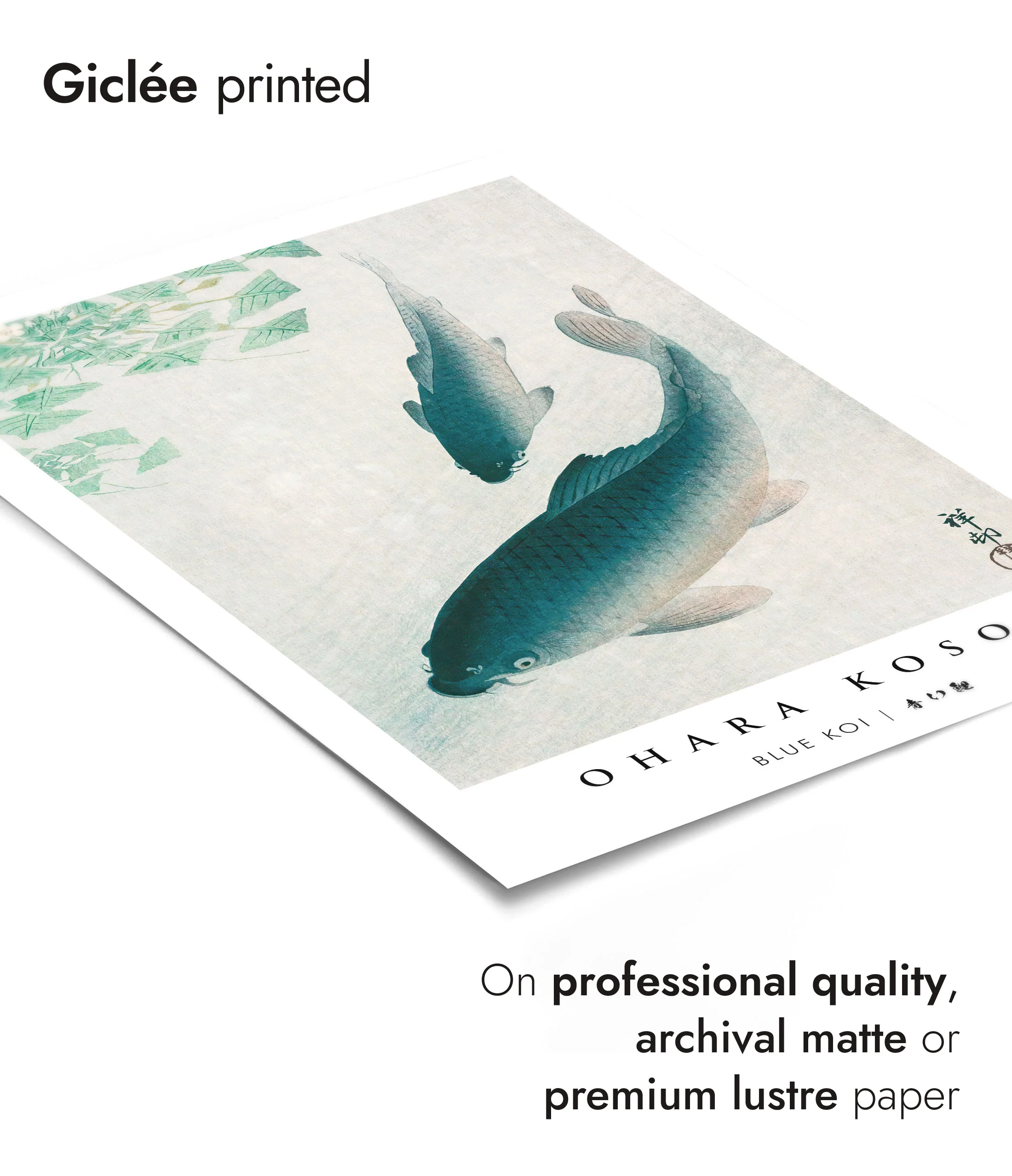 Blue Koi - Image 6