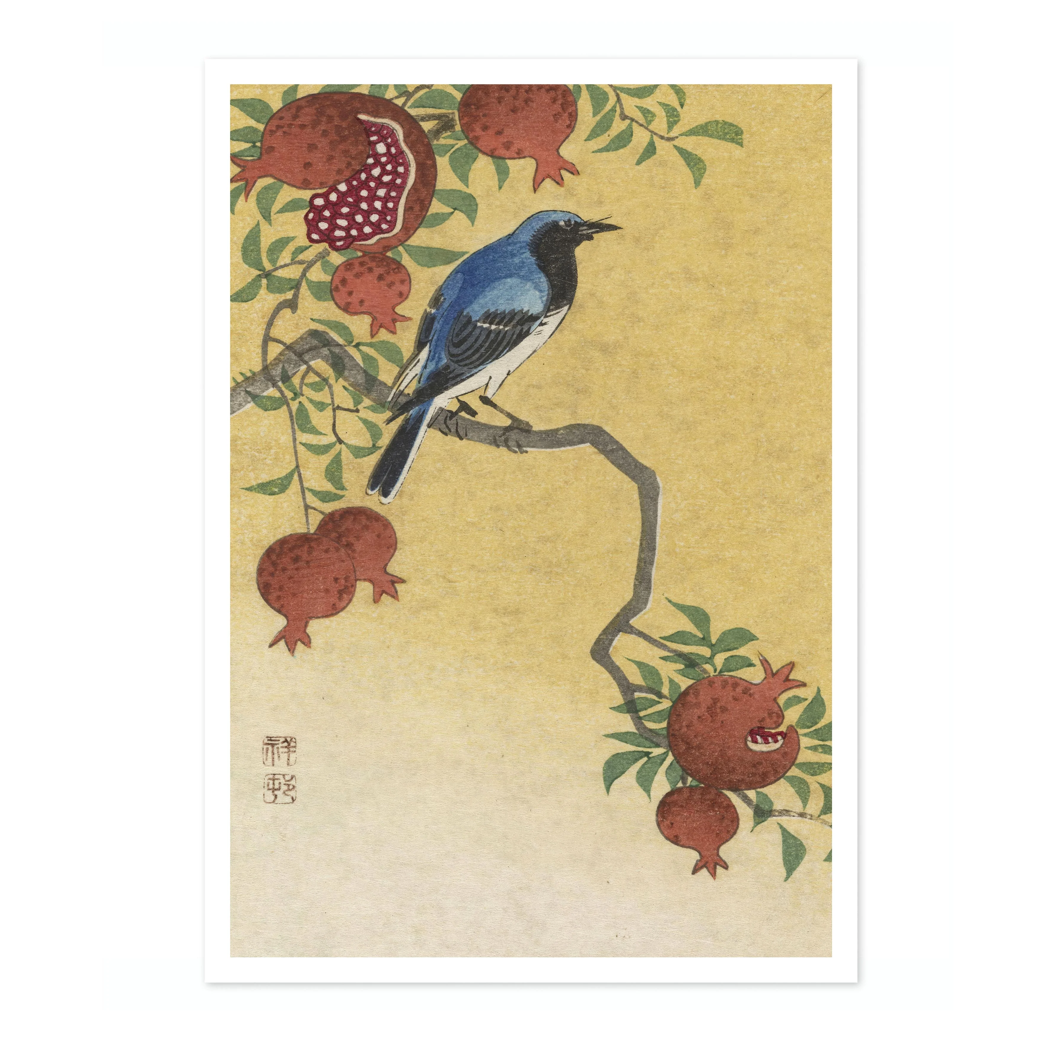 Blue Robin Perched on Pomegranate Tree - Image 4