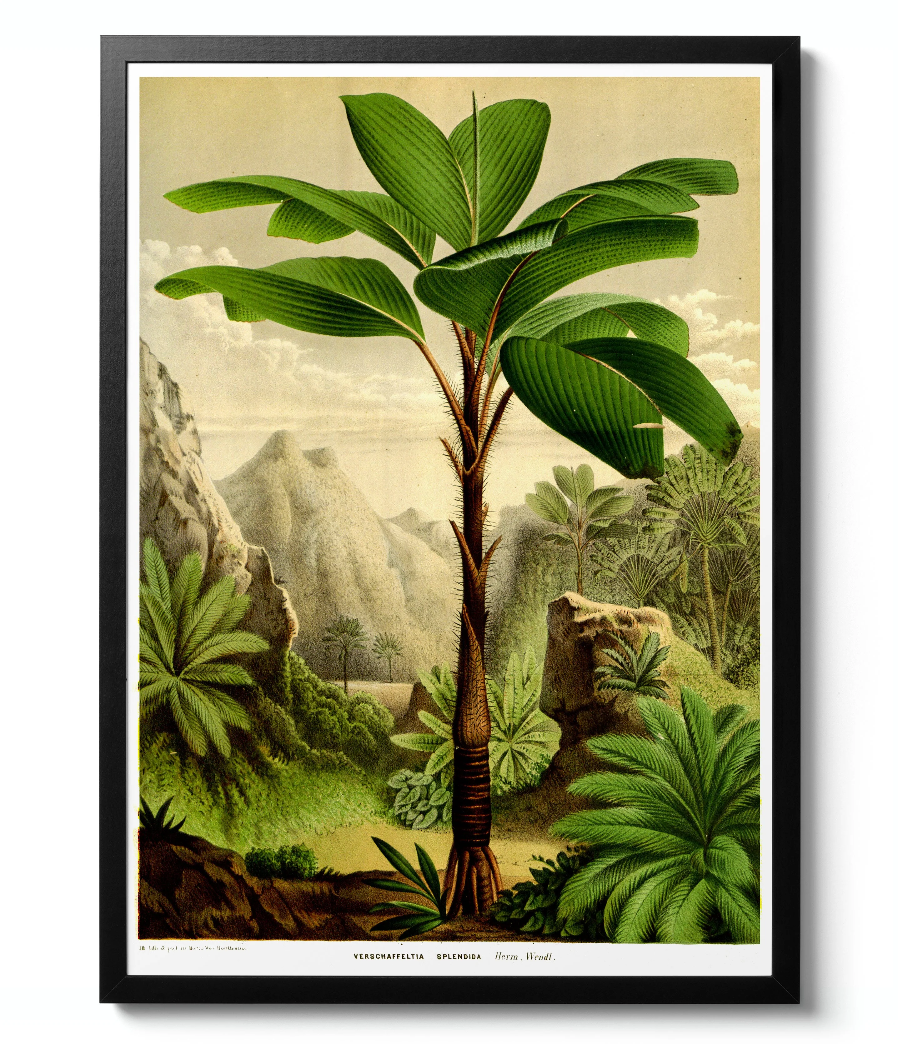 Botanical Gallery Wall - Image 6