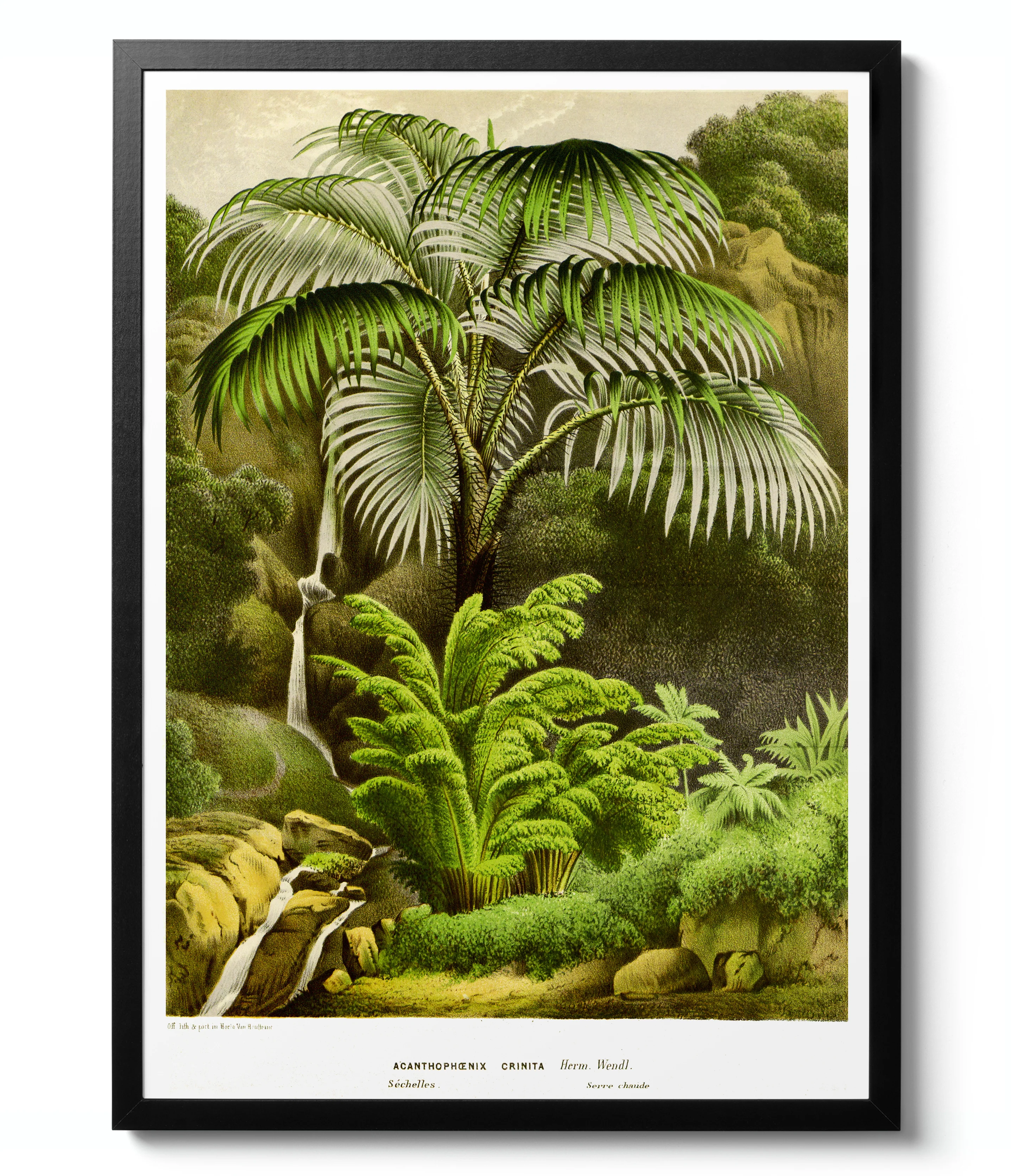 Botanical Trees - Set of 3 - Image 5